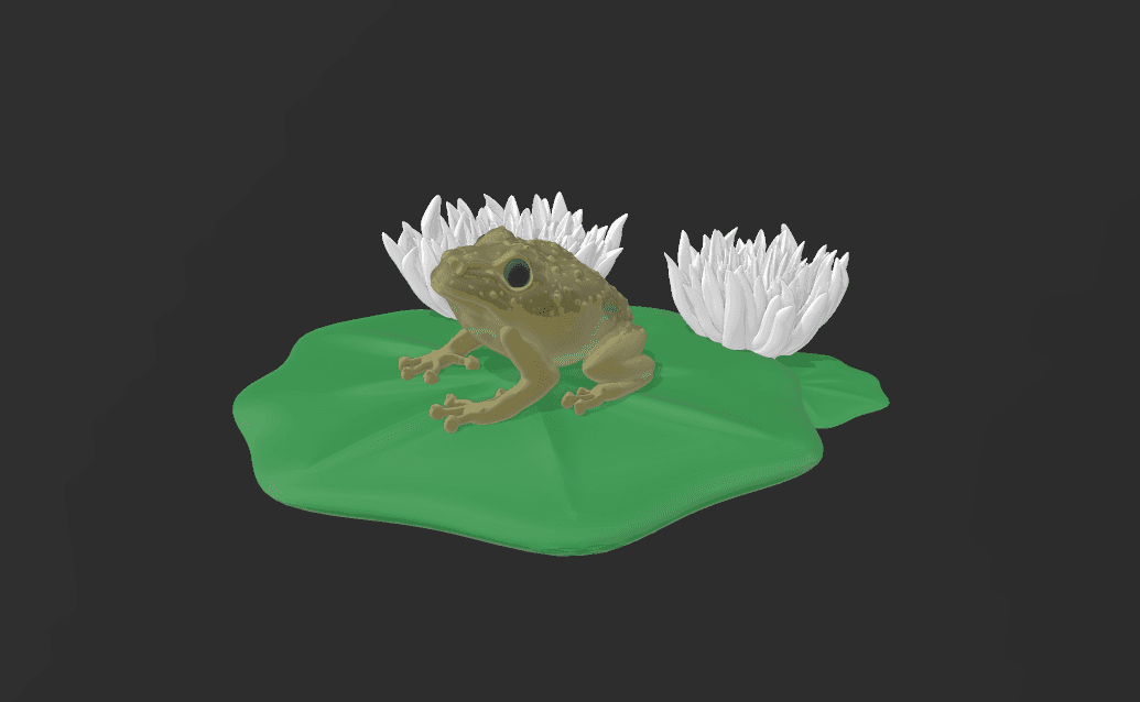 Frog Display 3d model