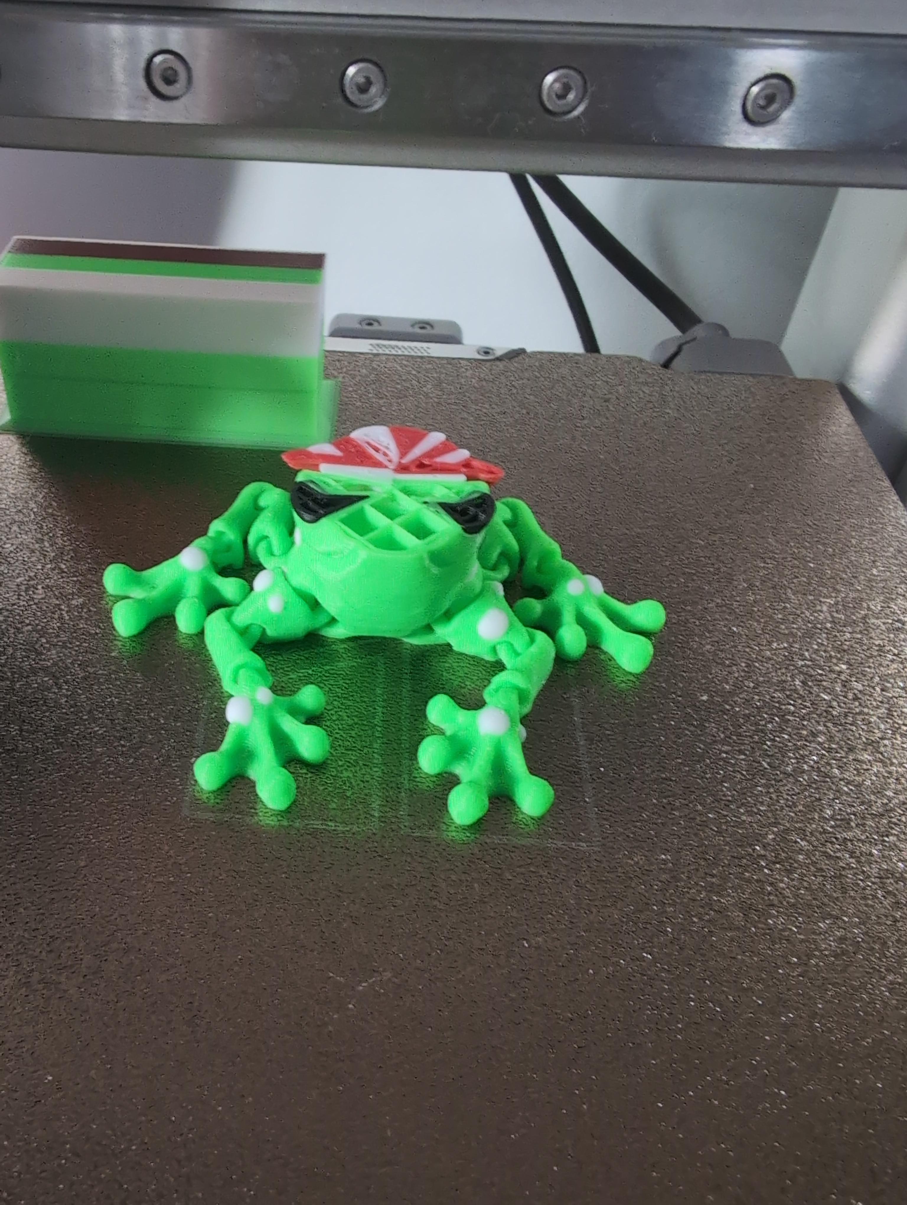 Mushroom Frog - Printed. Very nice! I love it thank you - 3d model