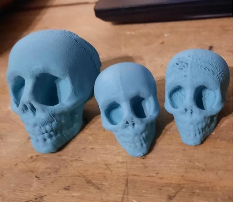 skull game anatomically inaccurate skull model -  before i fixed my under extrusion  - 3d model