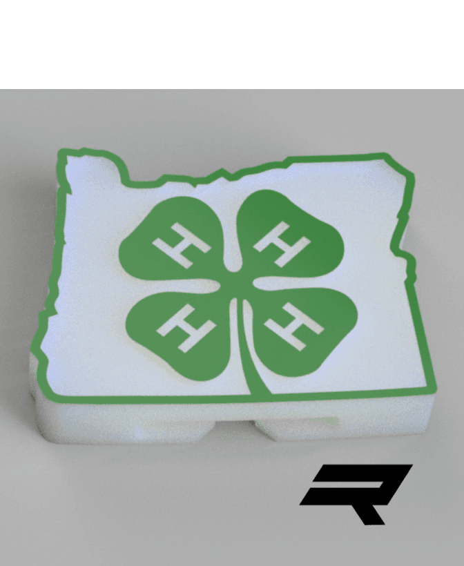 4H Oregon State Pin 3d model