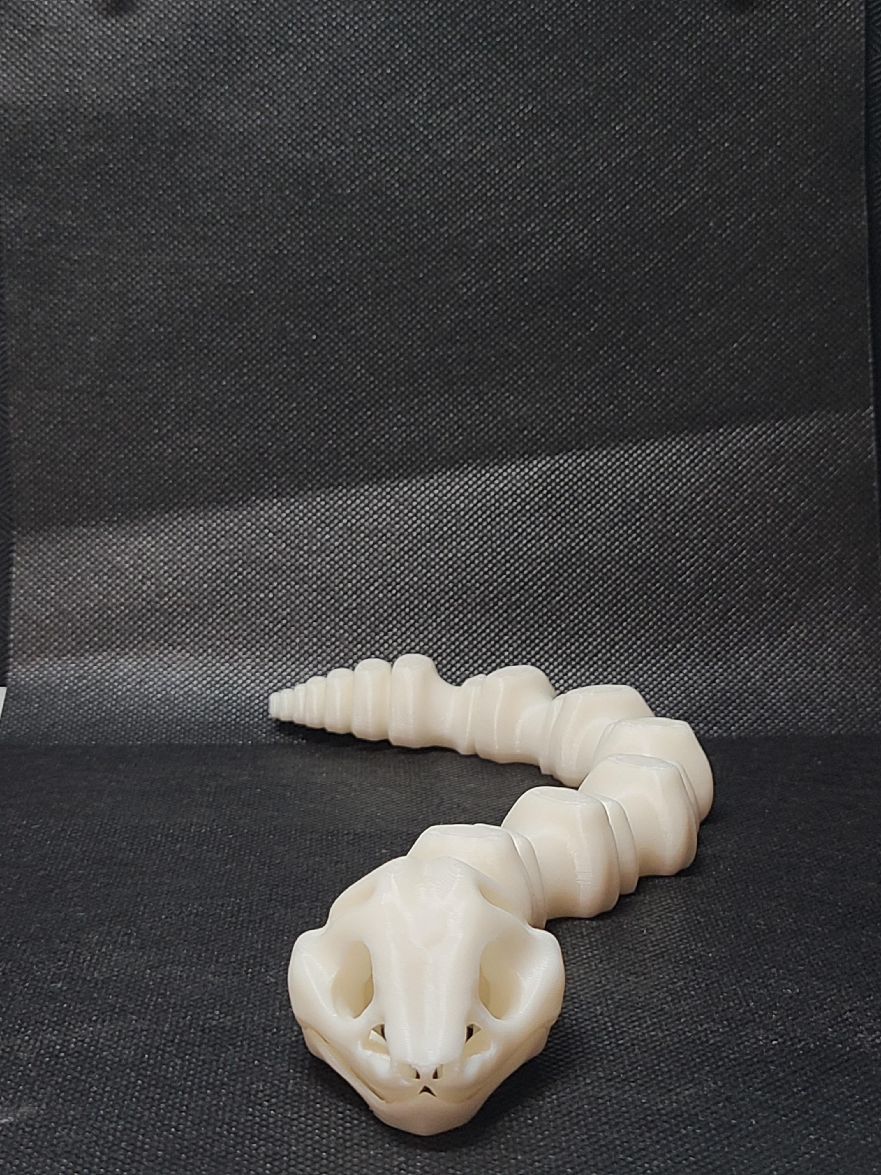  Sleek-Eyed Bone Snake (Medium Tightness) - Articulated Snap-Flex Fidget 3d model