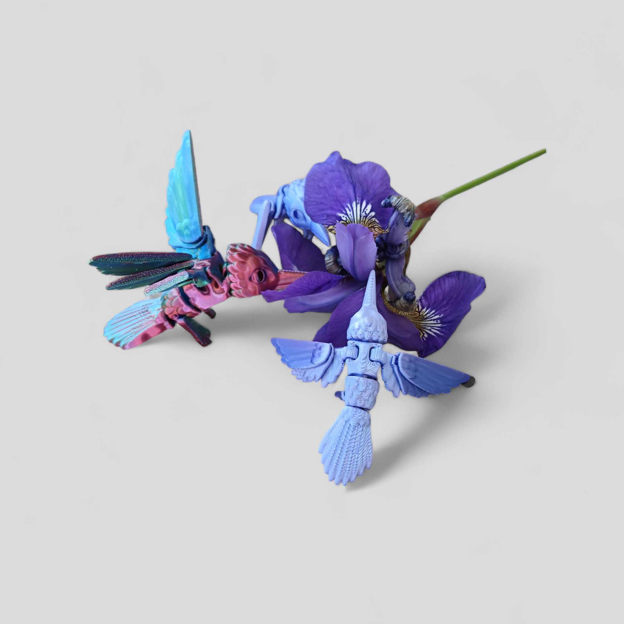 Hummingbird 3d model