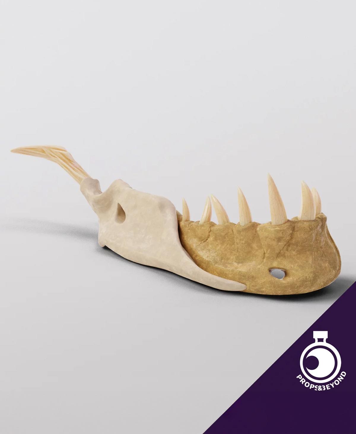 Bone Devil's Mandible 3d model