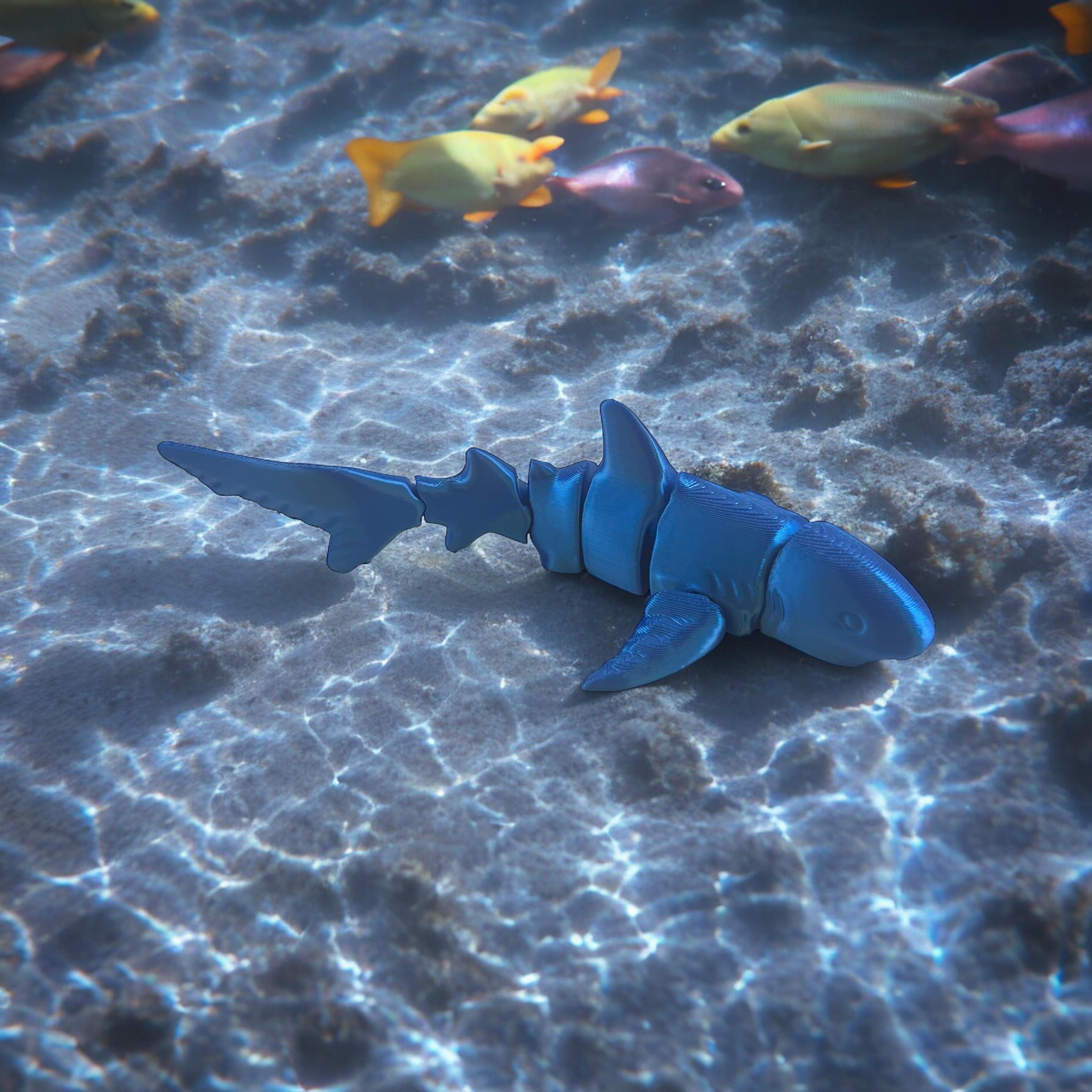 Flexy Shark 3d model