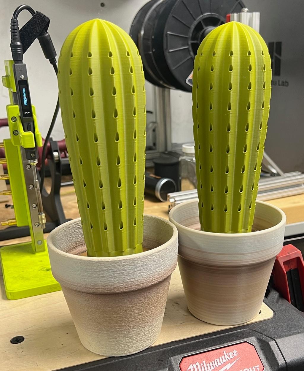 Cactus Toothpick holder 3d model