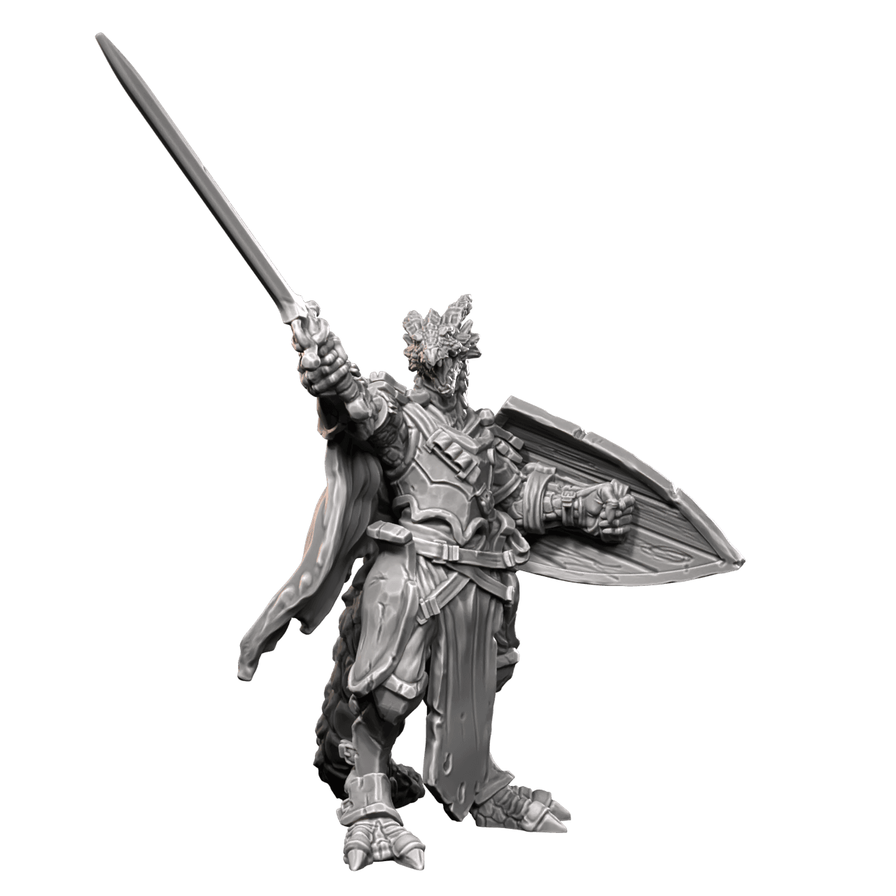 Dragonborn Paladin 3d model