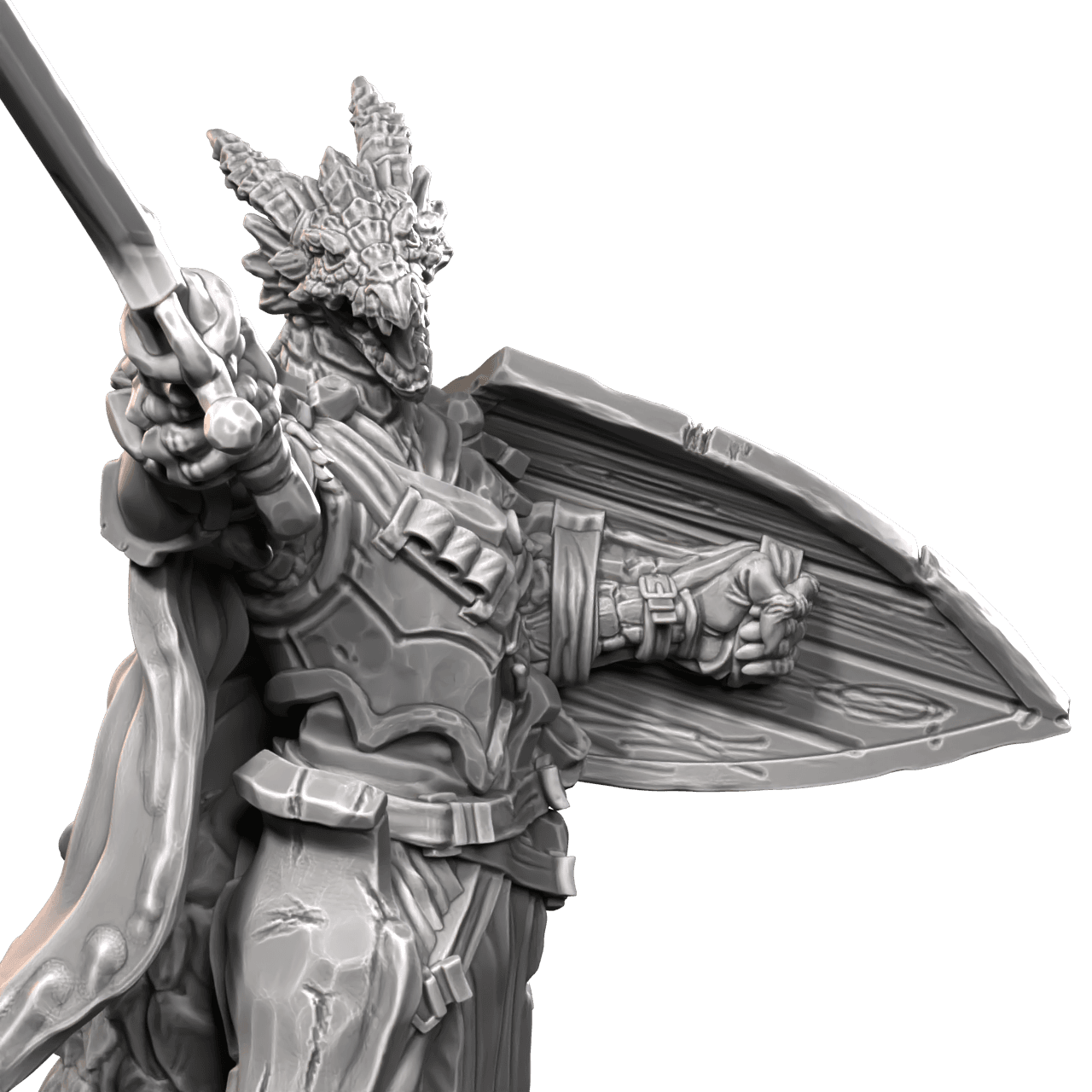 Dragonborn Paladin 3d model