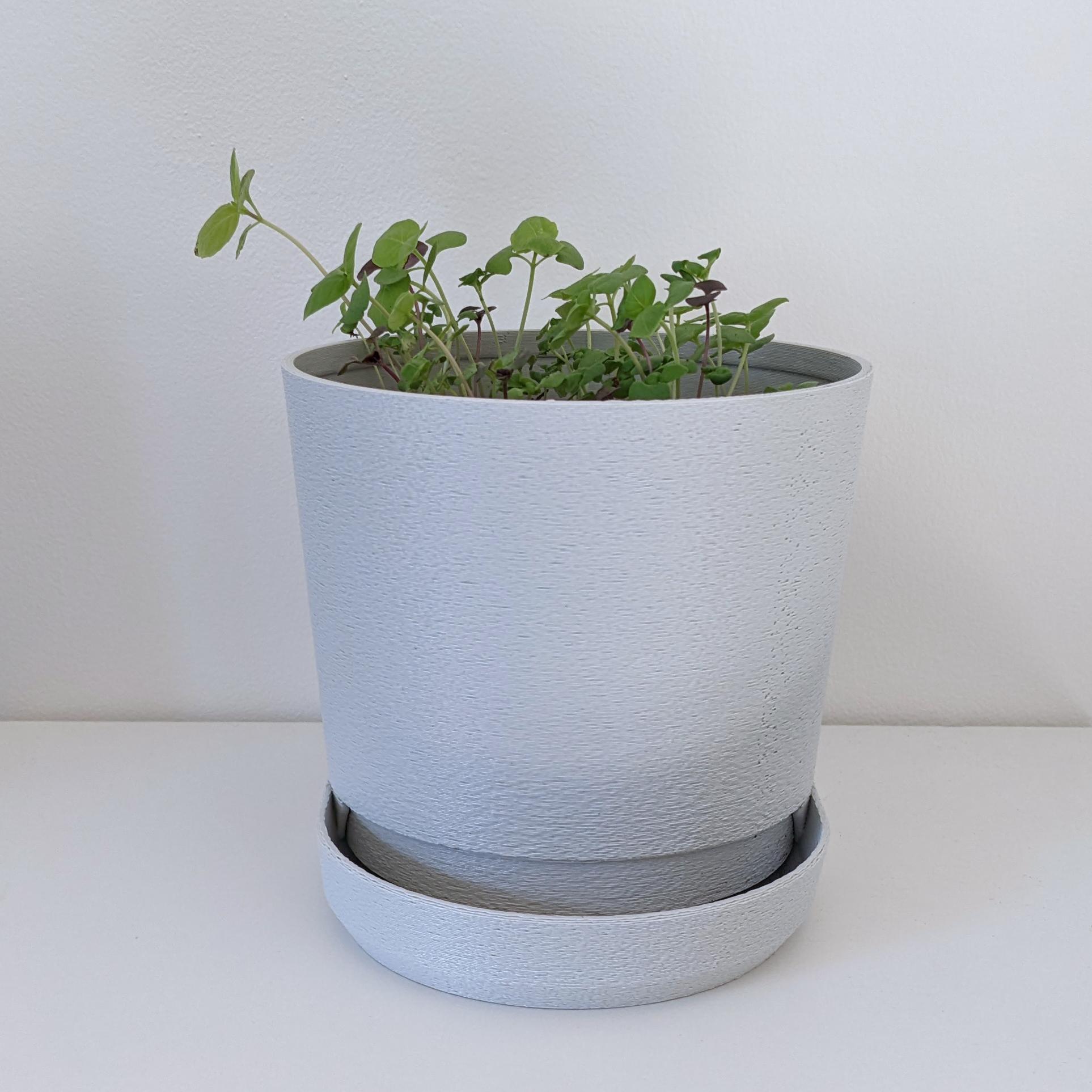 PLANTER 03 3d model