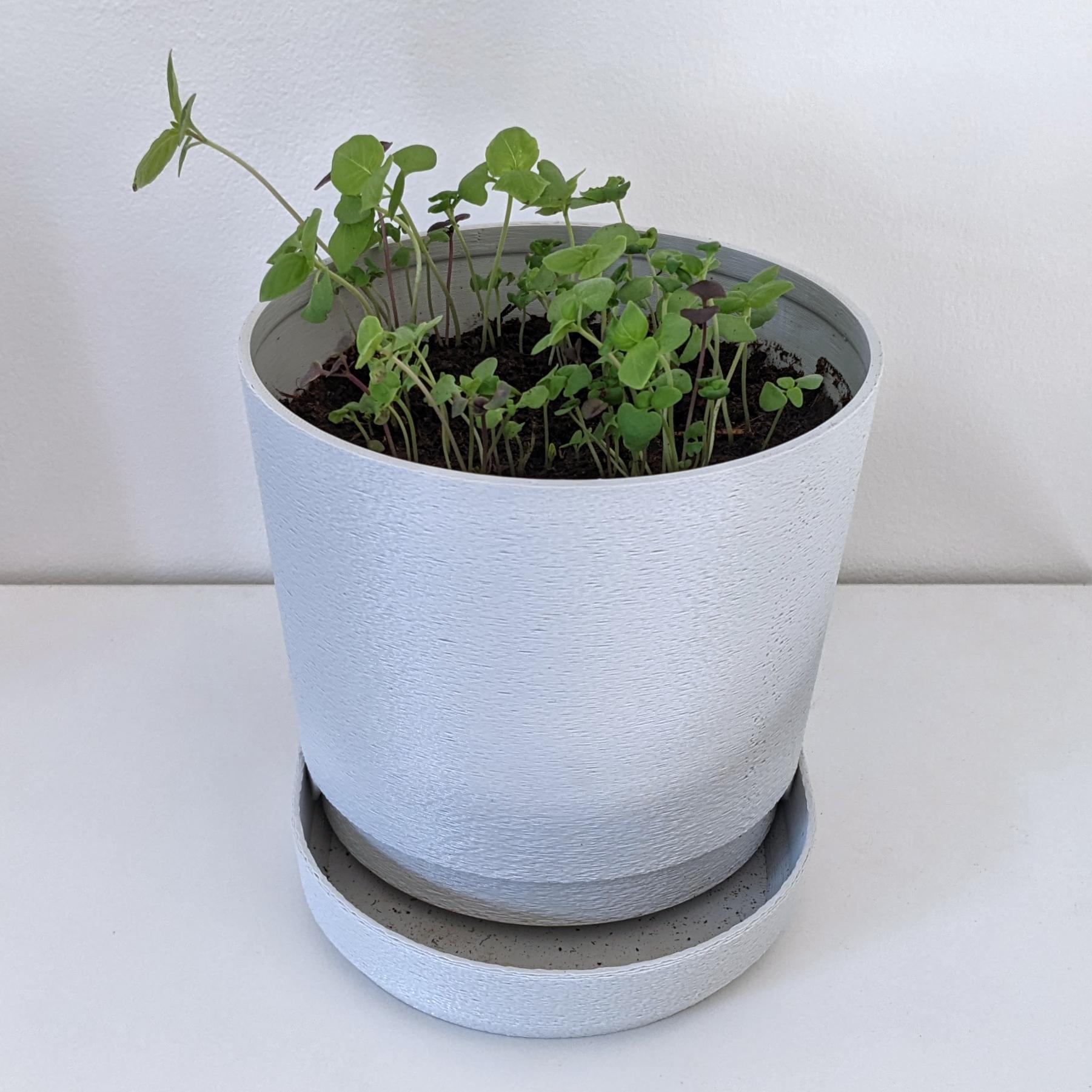 PLANTER 03 3d model