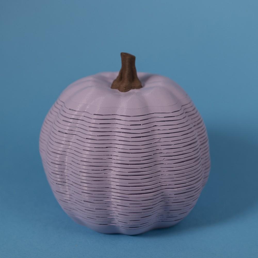 Pumpkin Springo A (2 sizes) 3d model