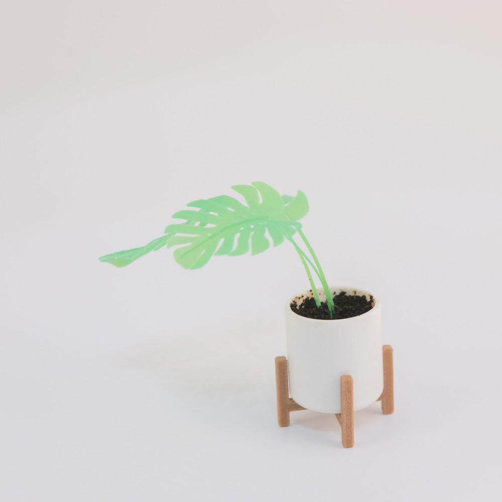 Mini Monstera & Planter 3d model