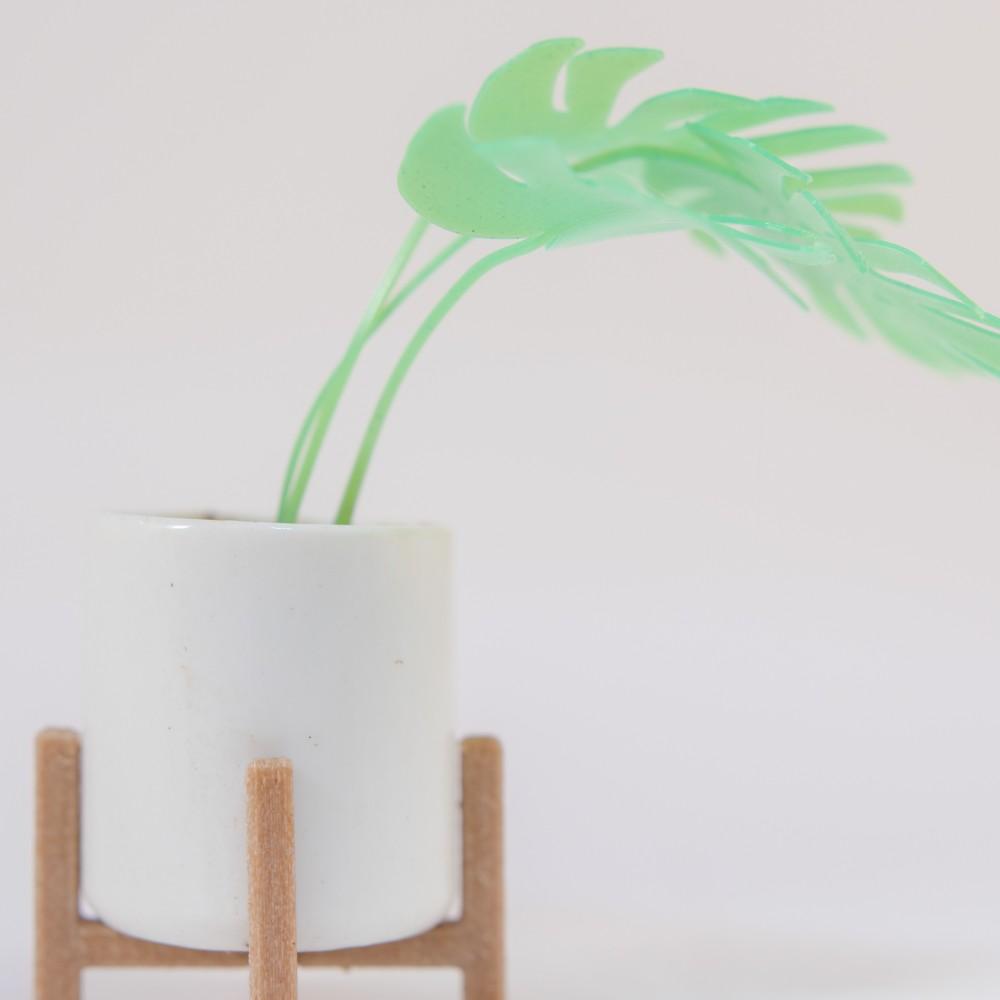 Mini Monstera & Planter 3d model