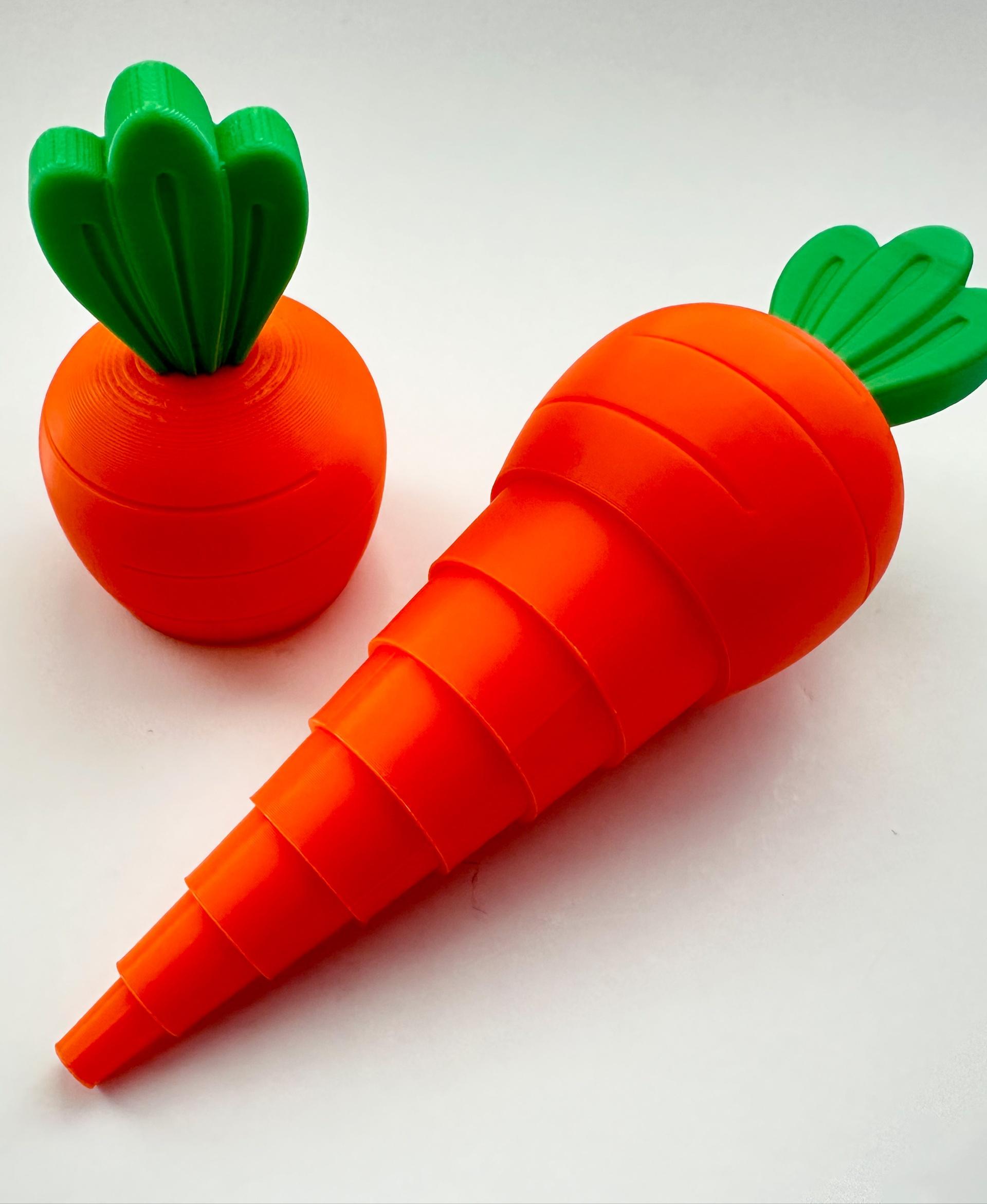 Carrot Garden (2 sizes) 3d model