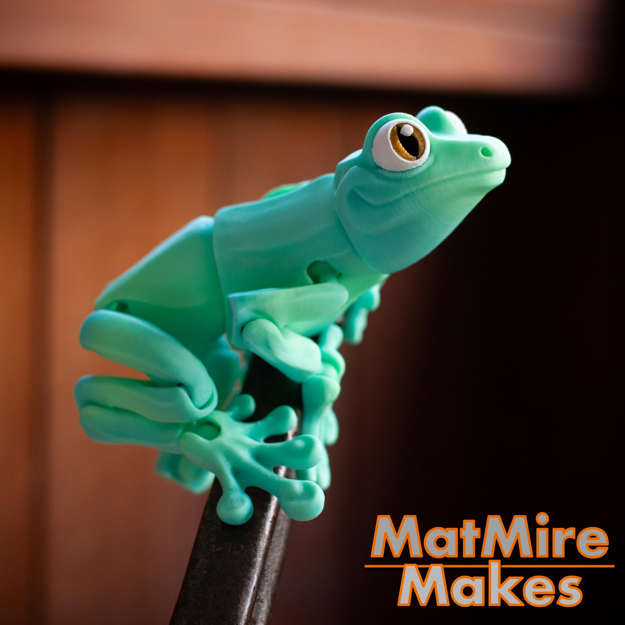 Tree Frog - Articulated Figure 3d model