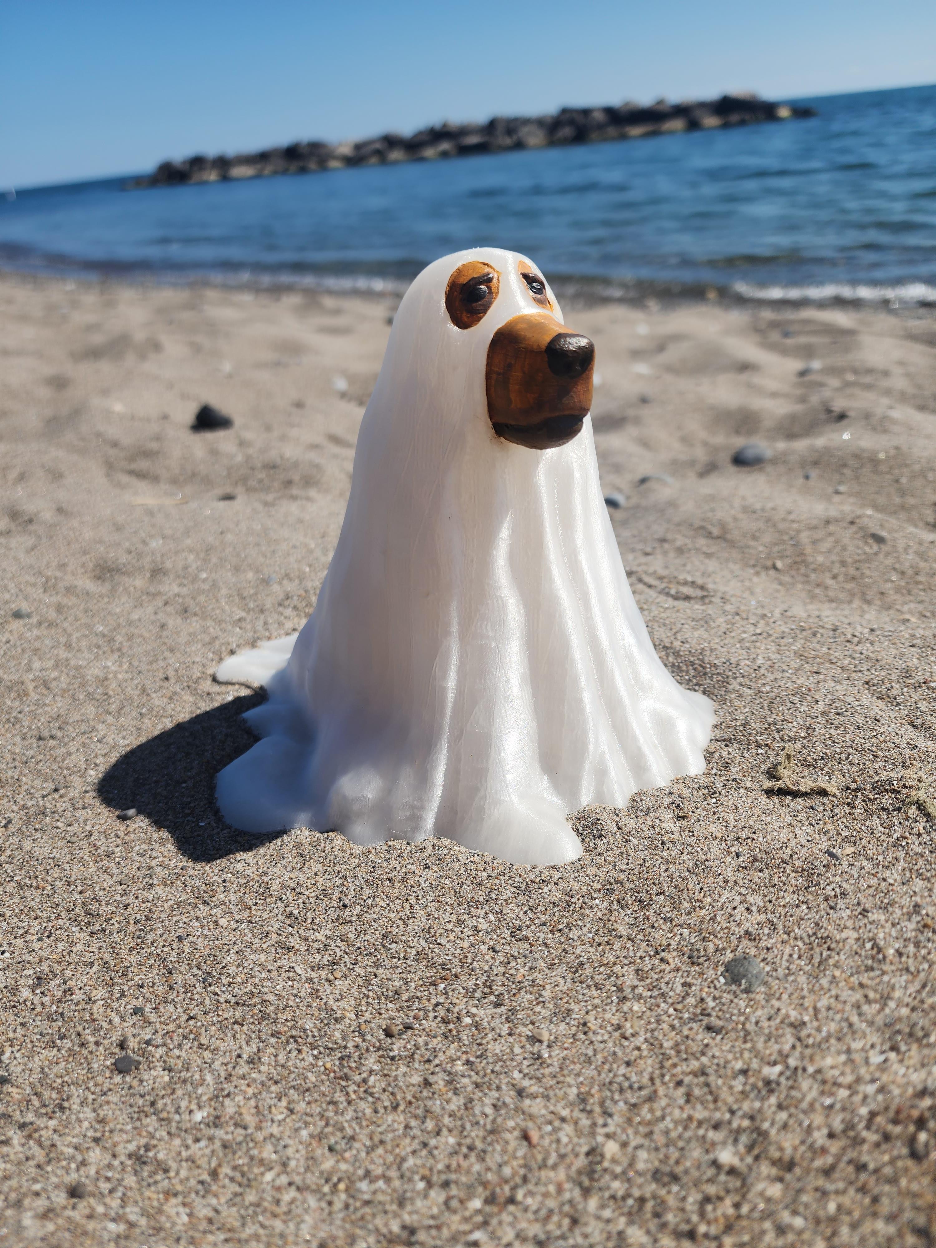 Ghost Dog 3d model