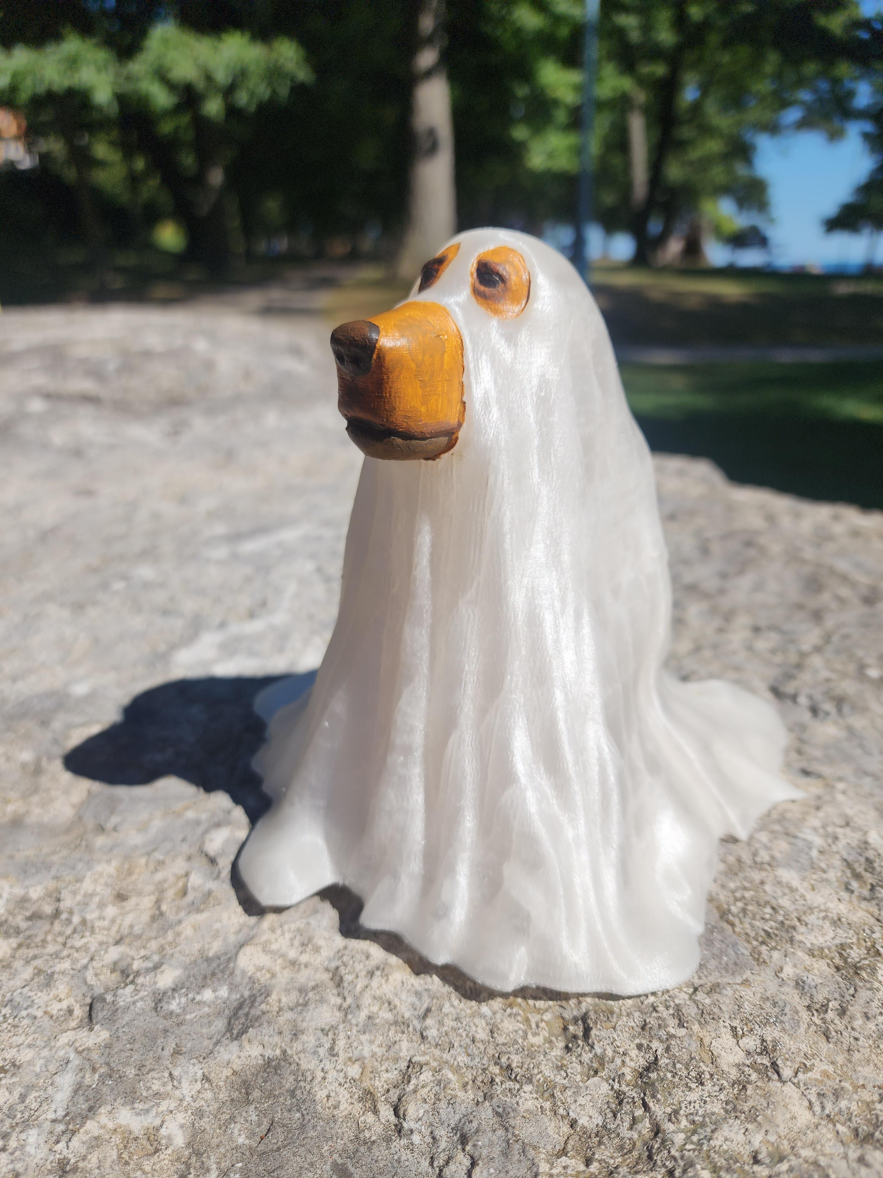 Ghost Dog 3d model