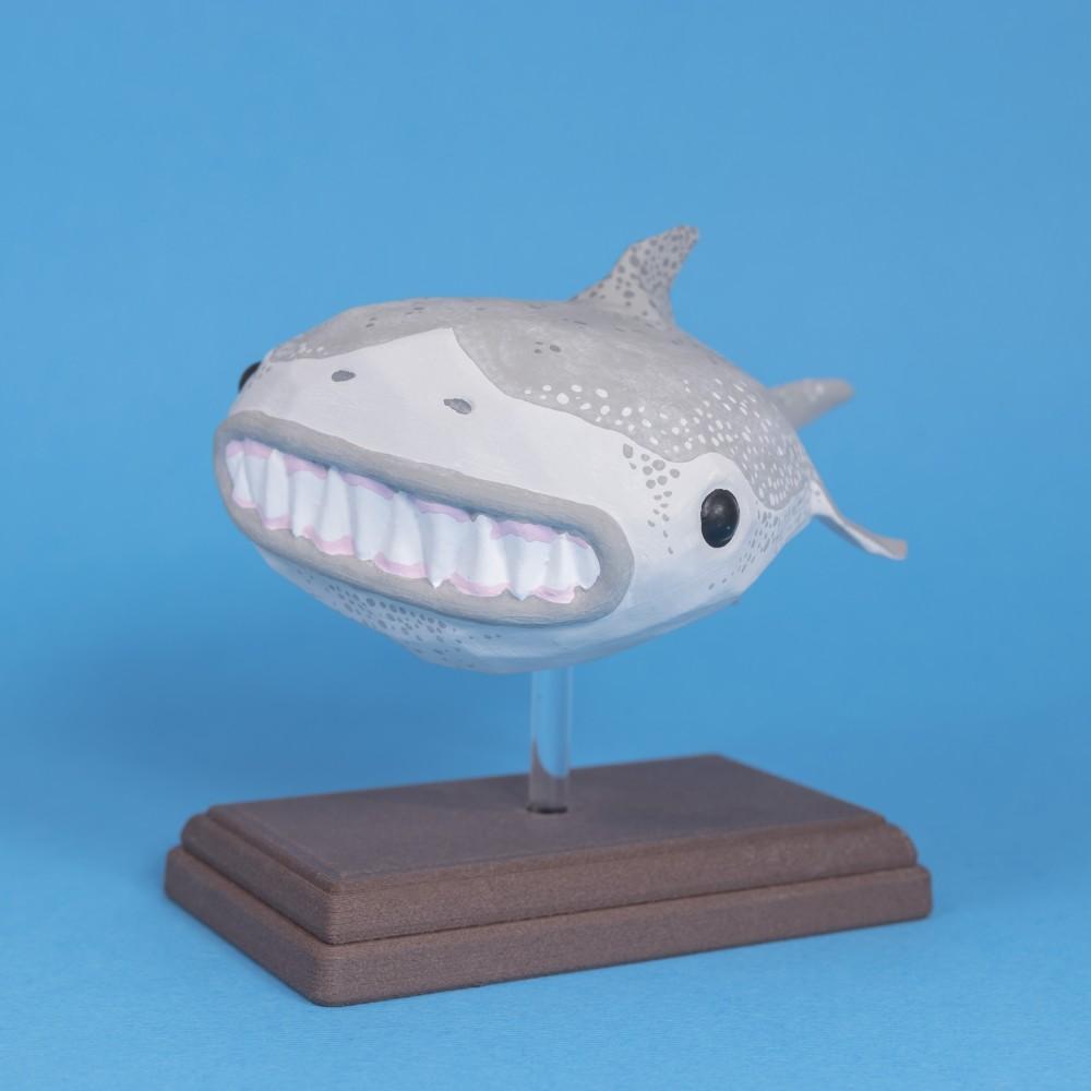 Great Wide Shark // Rejected Animals 3d model