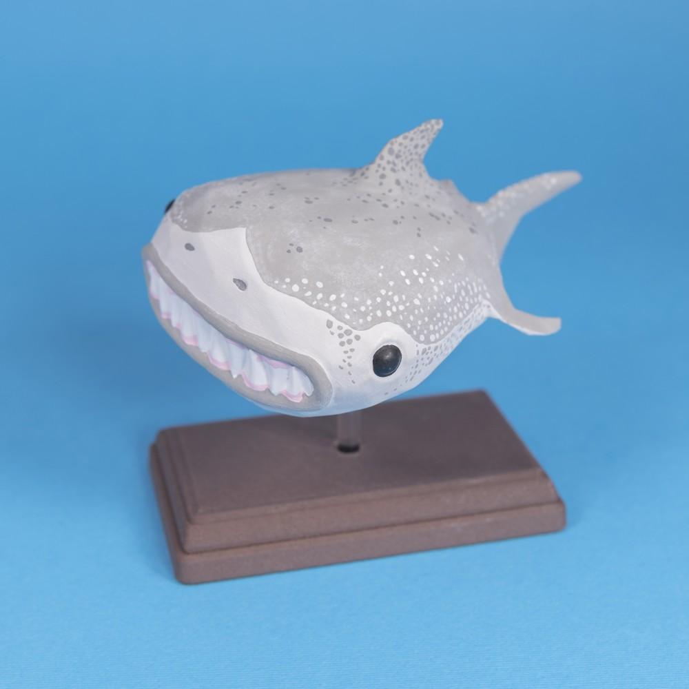 Great Wide Shark // Rejected Animals 3d model