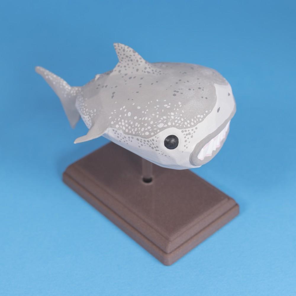 Great Wide Shark // Rejected Animals 3d model