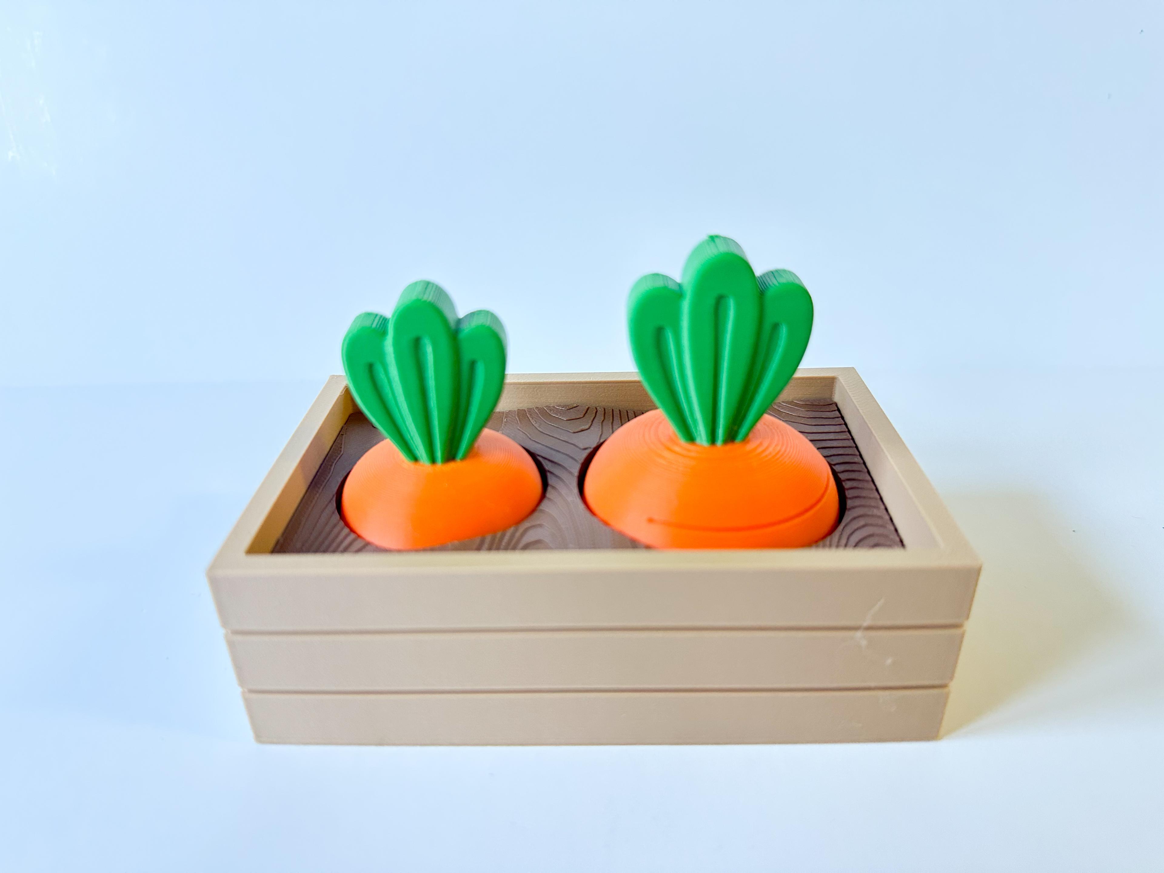 Carrot Garden (2 sizes) 3d model