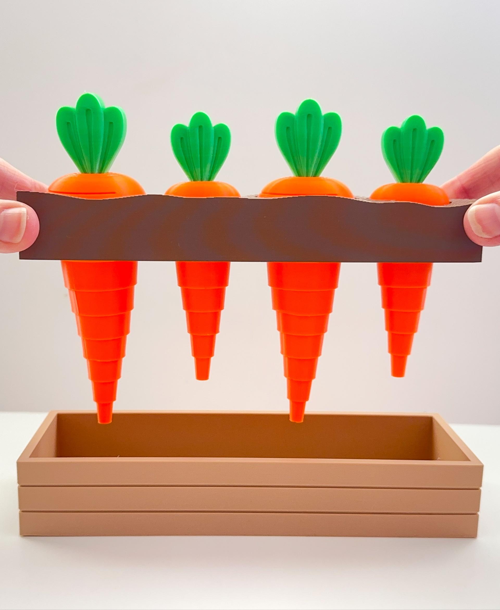 Carrot Garden (2 sizes) 3d model