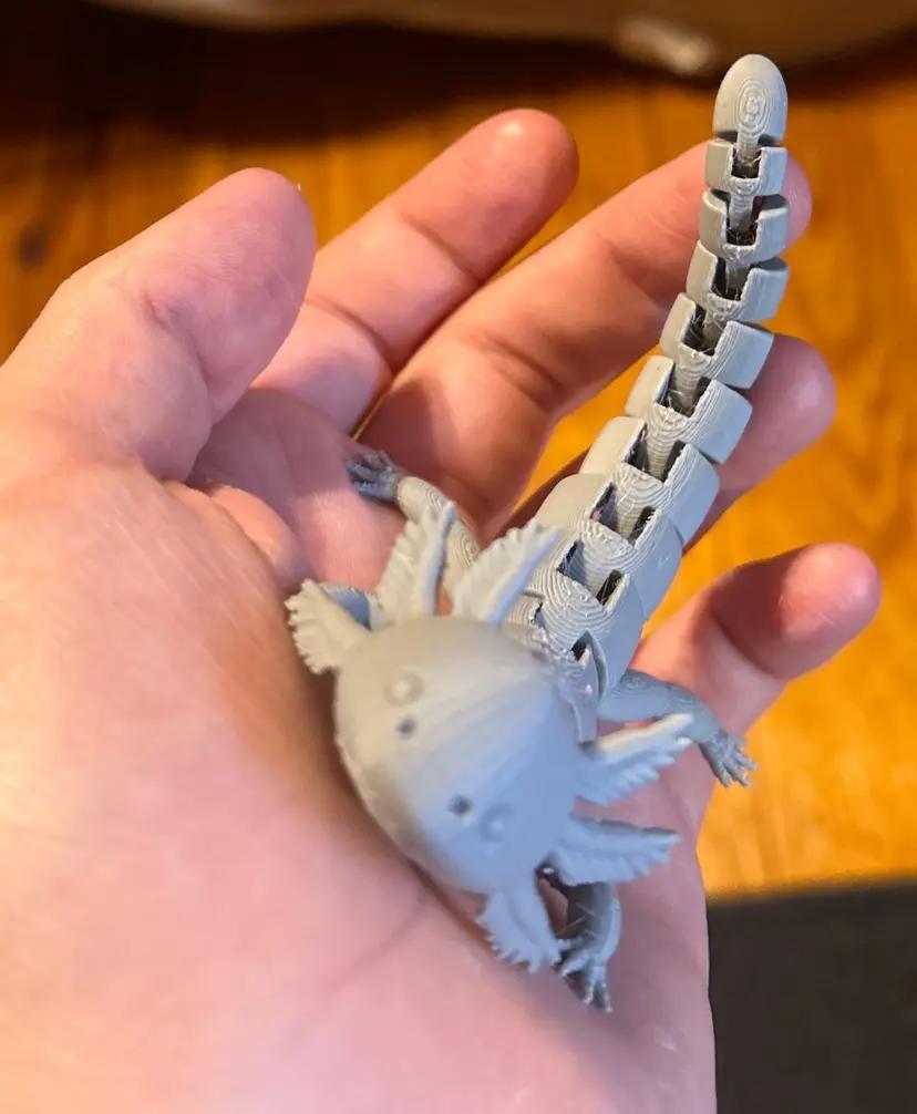 Articulated Axolotl v2.stl 3d model