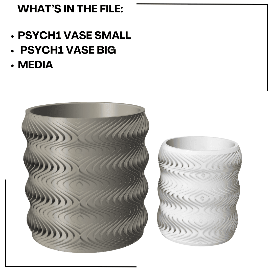 Psych Vase Collection  3d model