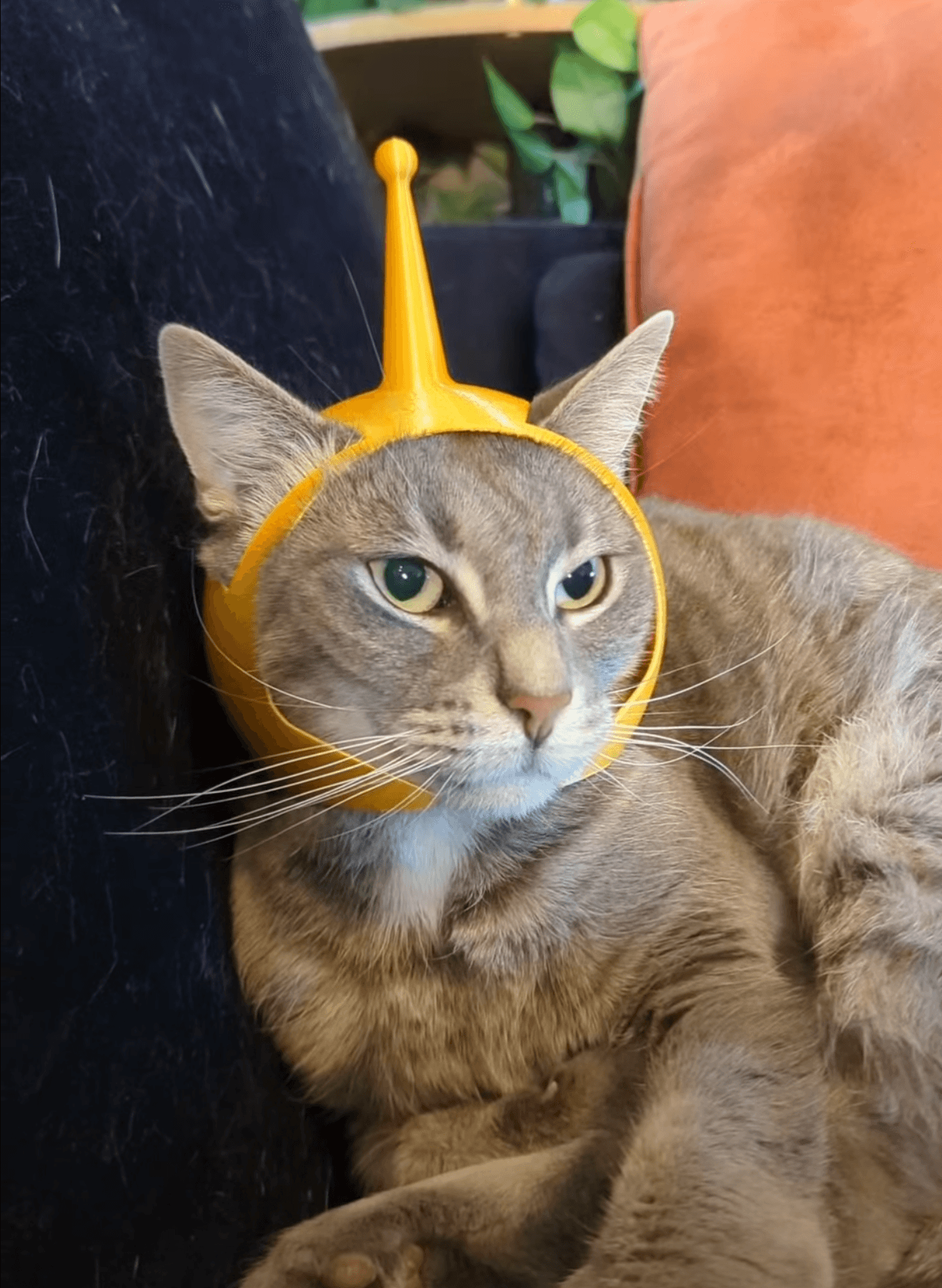 Cat Space Helmet 3d model