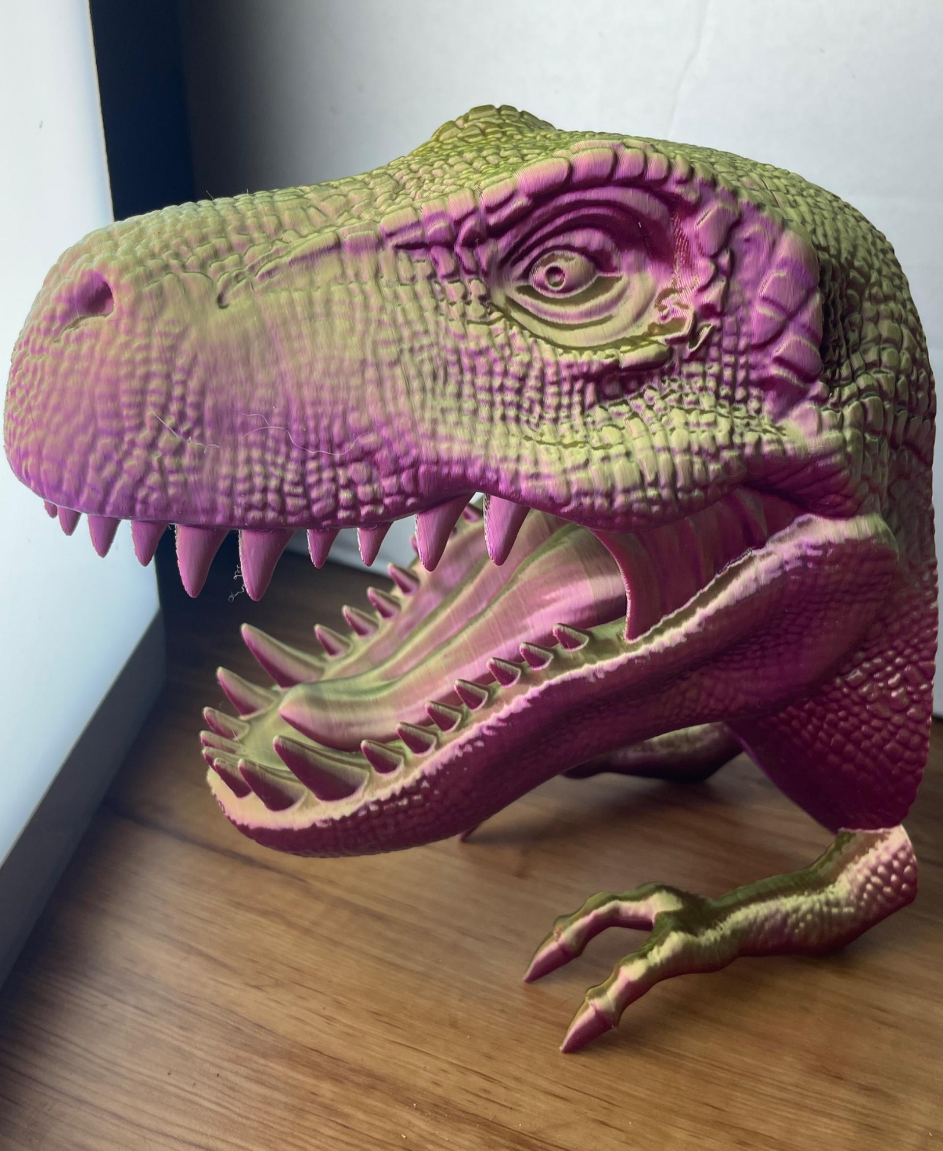 T-Rex Dinosaur Head Wall Mount Hanger / No Supports  3d model