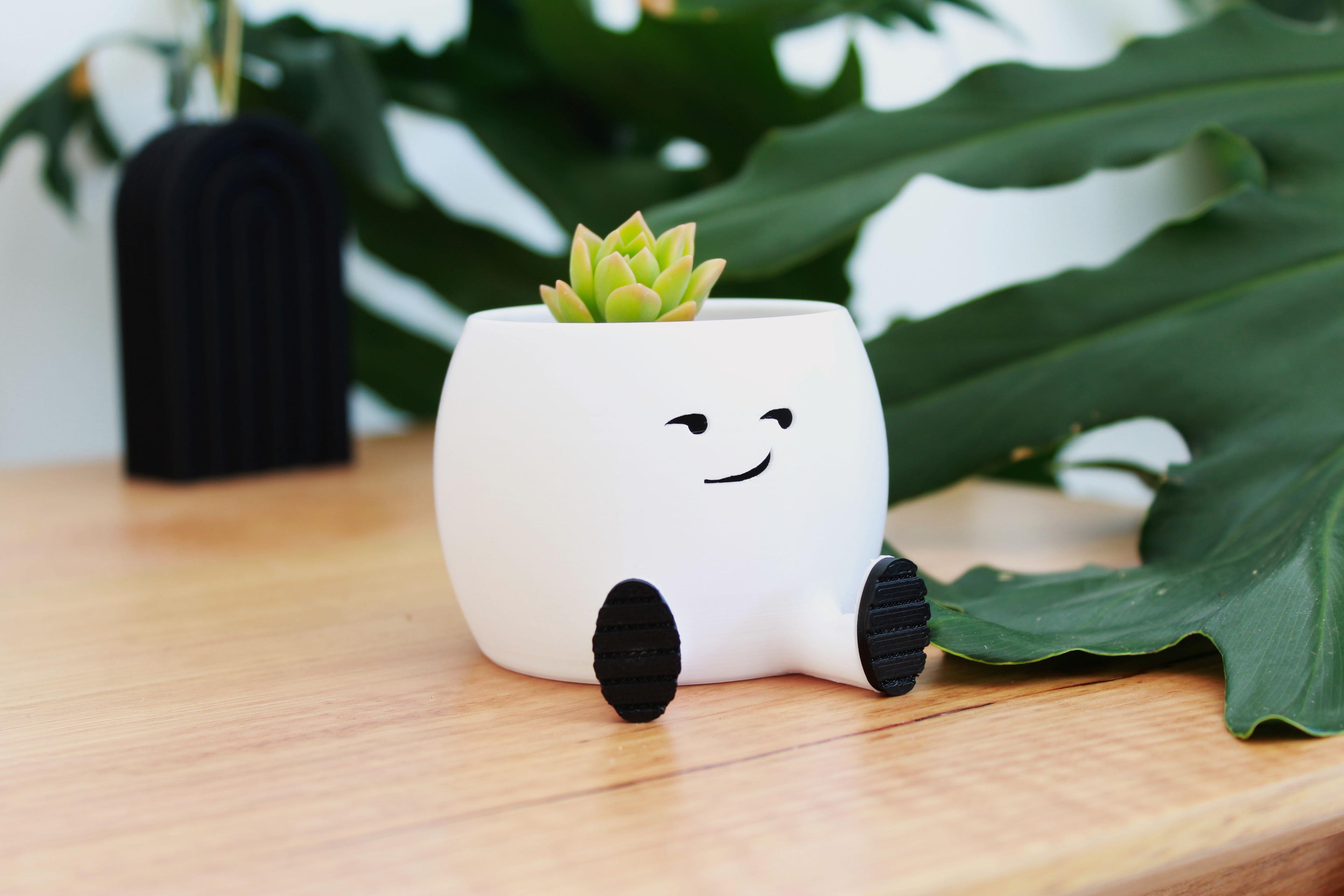 The Smirky Planter 3d model