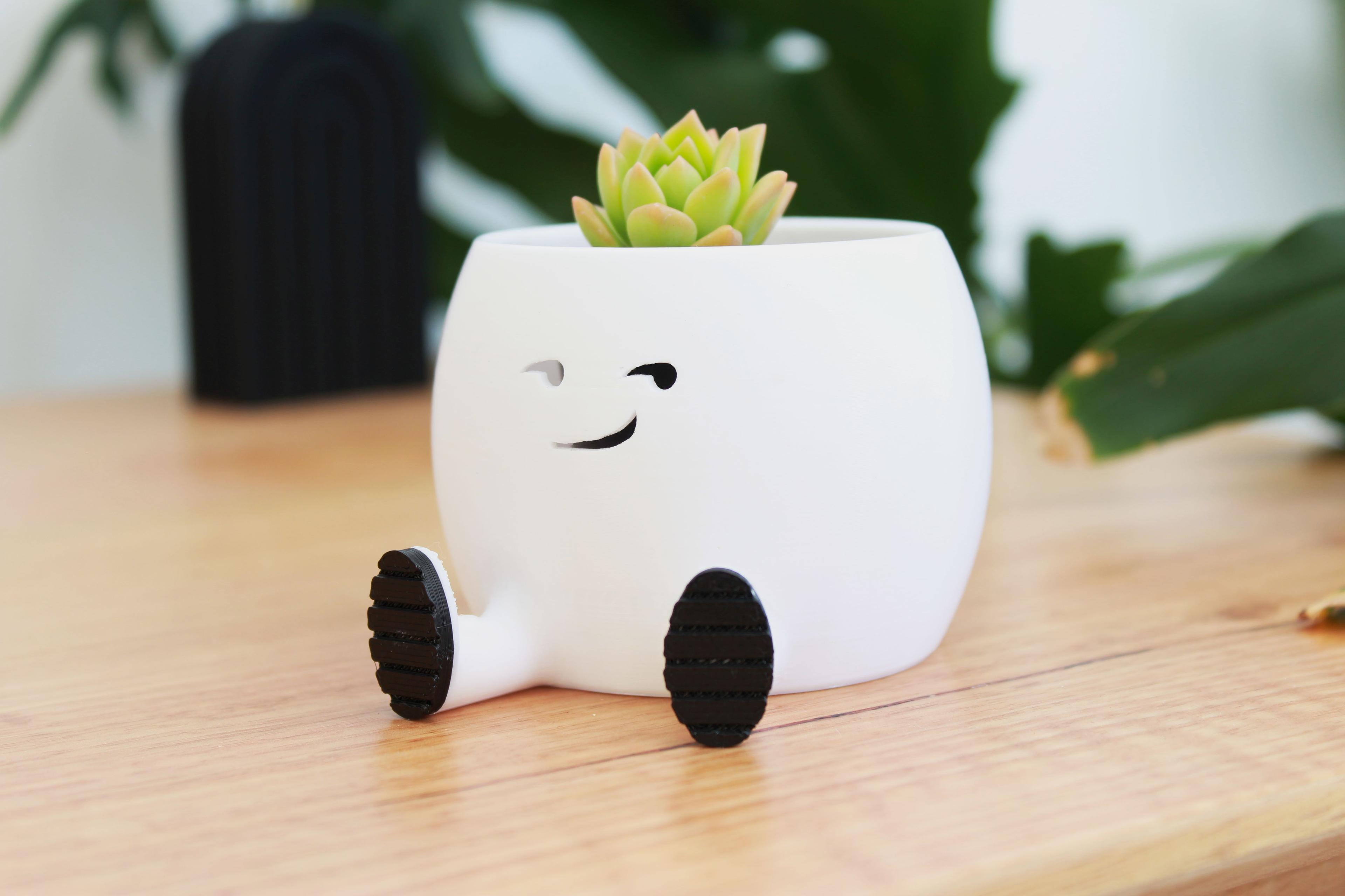 The Smirky Planter 3d model