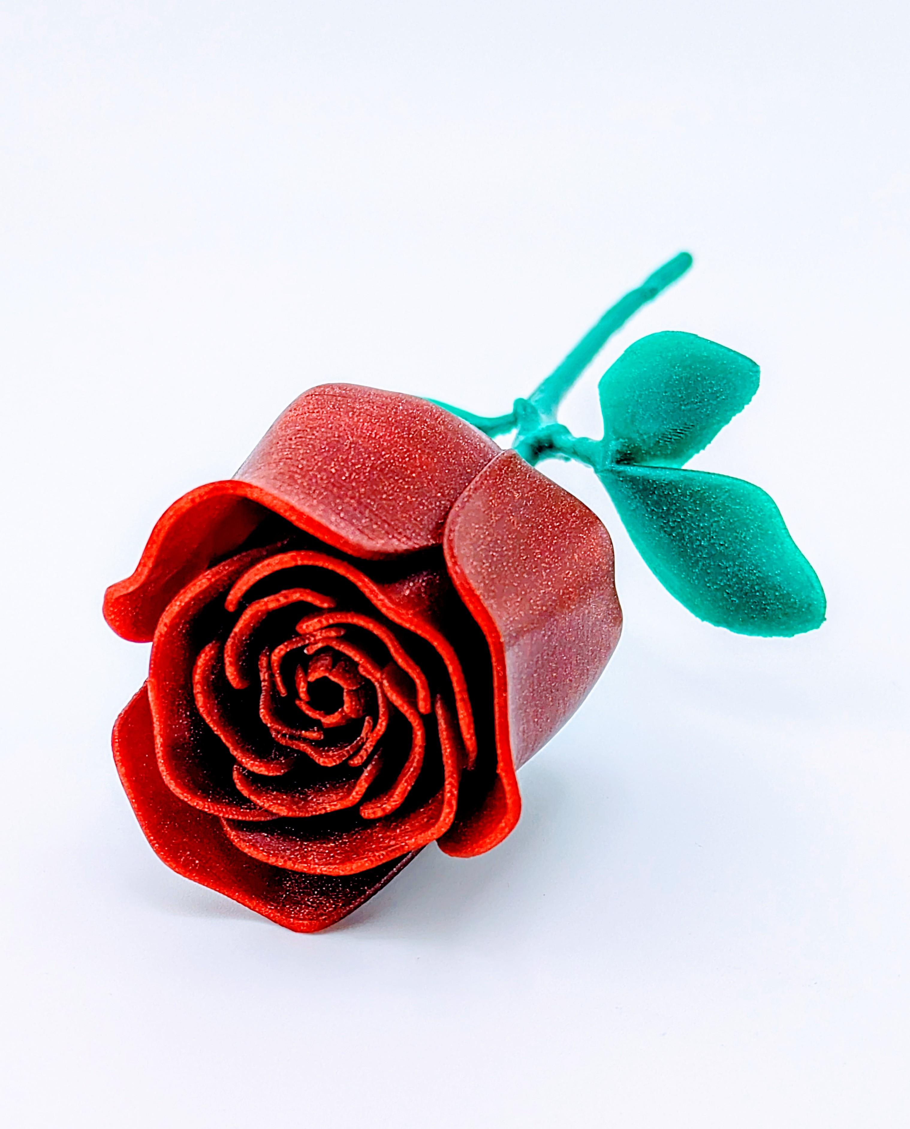 Rose 3d model