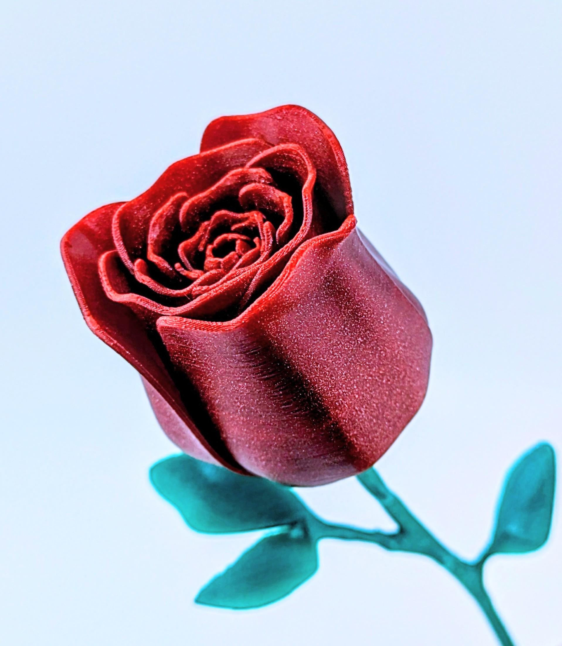 Rose 3d model