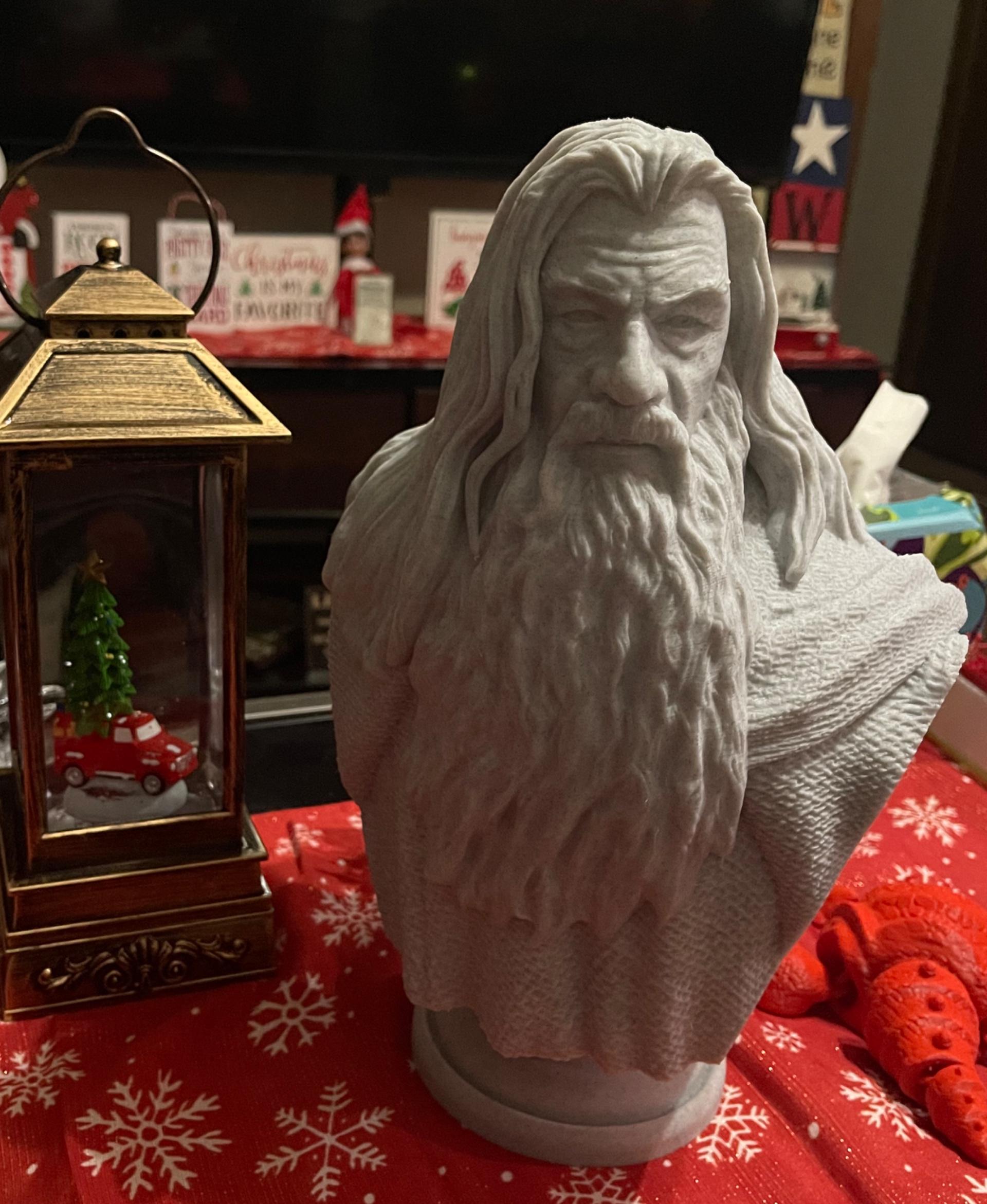 Gandalf Bust - Lord of the Rings (Pre-Supported) 3d model