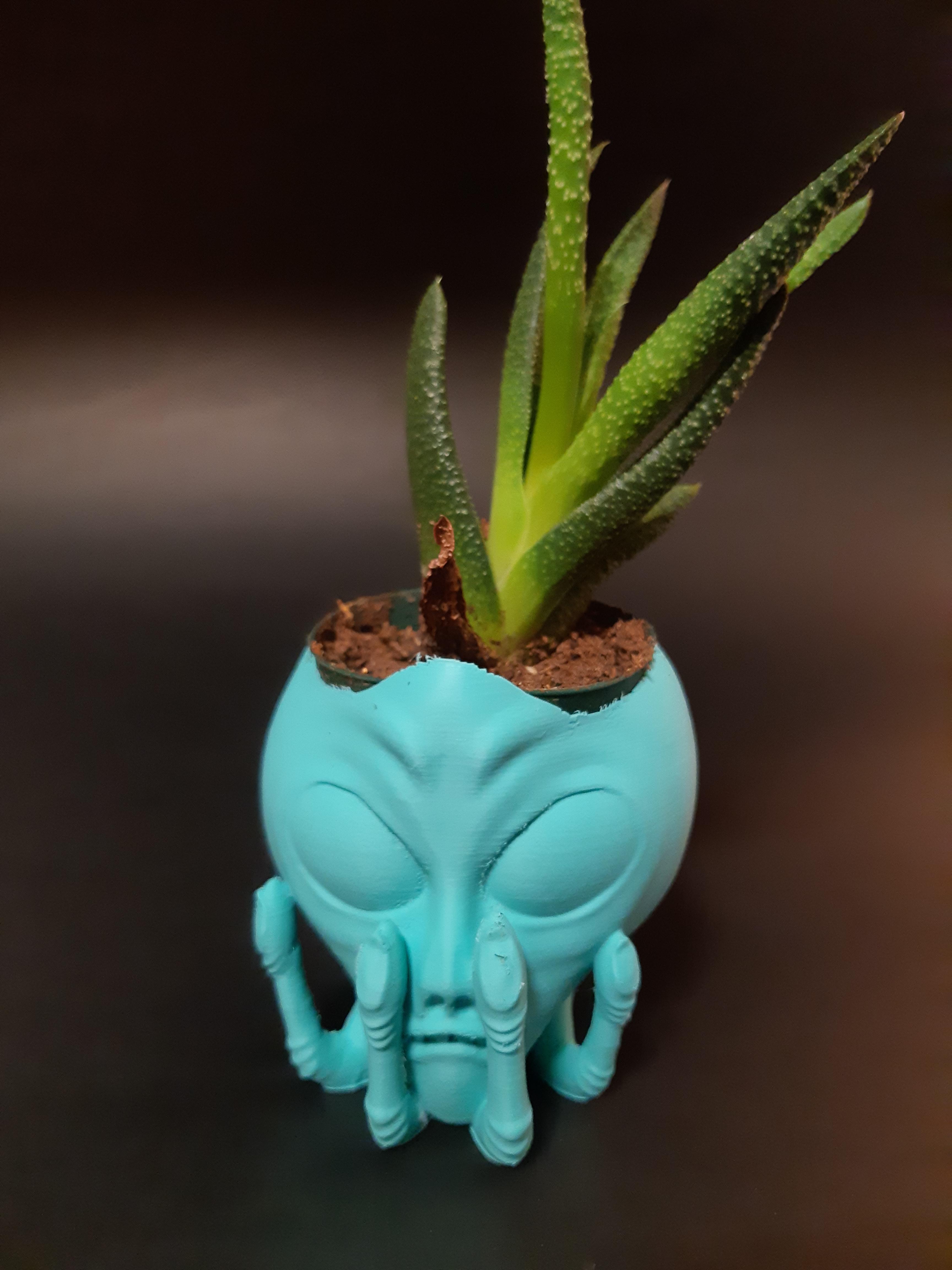 Alien Head in Hand Planter - Easy to Print - With or without drainage. 3d model