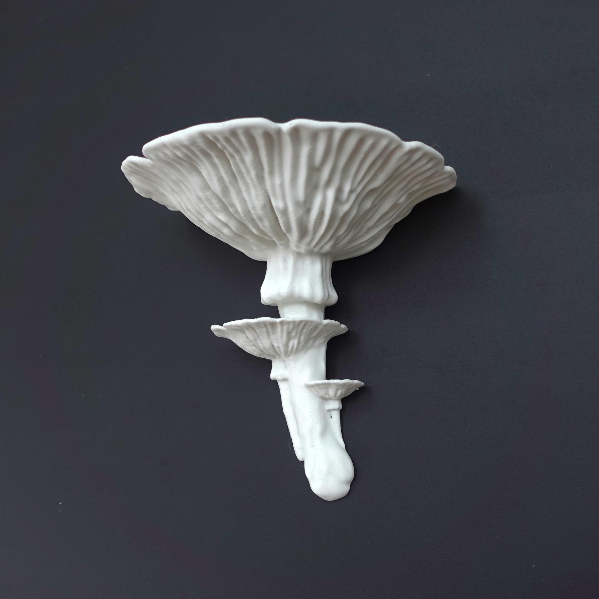 Mushroom shelf “Amanita Caesarea” 3d model