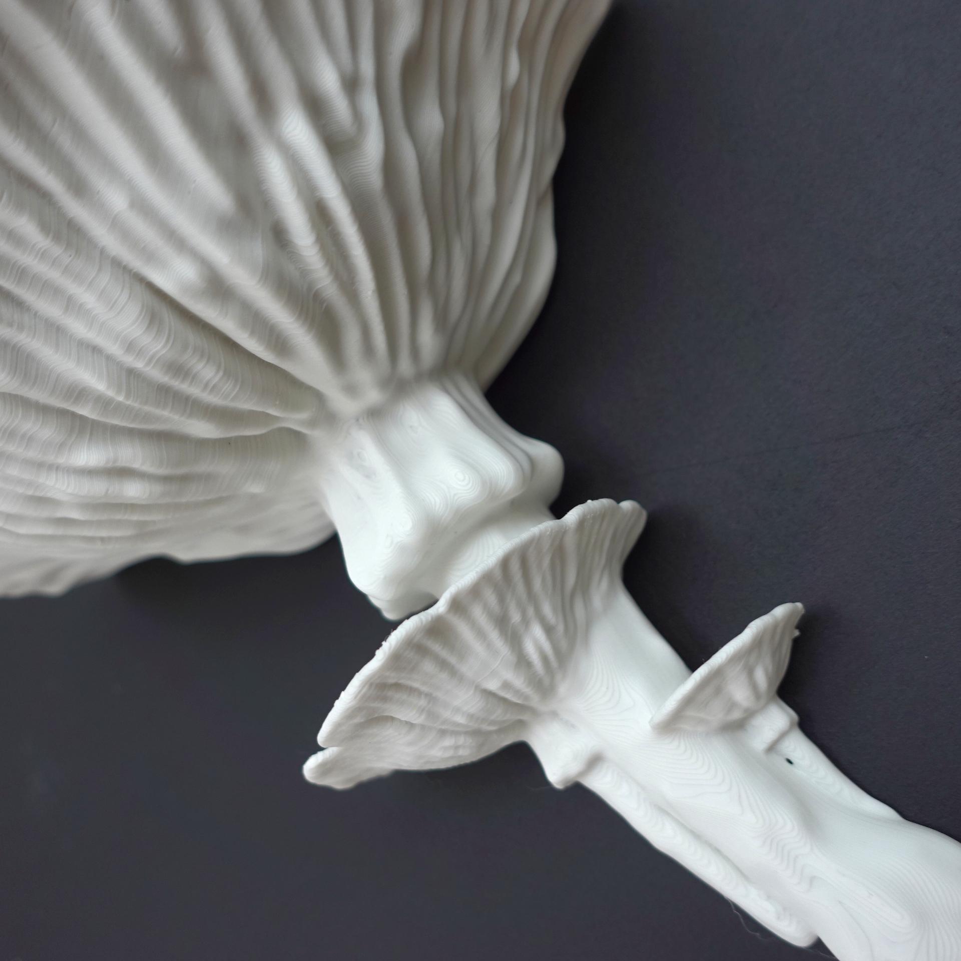 Mushroom shelf “Amanita Caesarea” 3d model