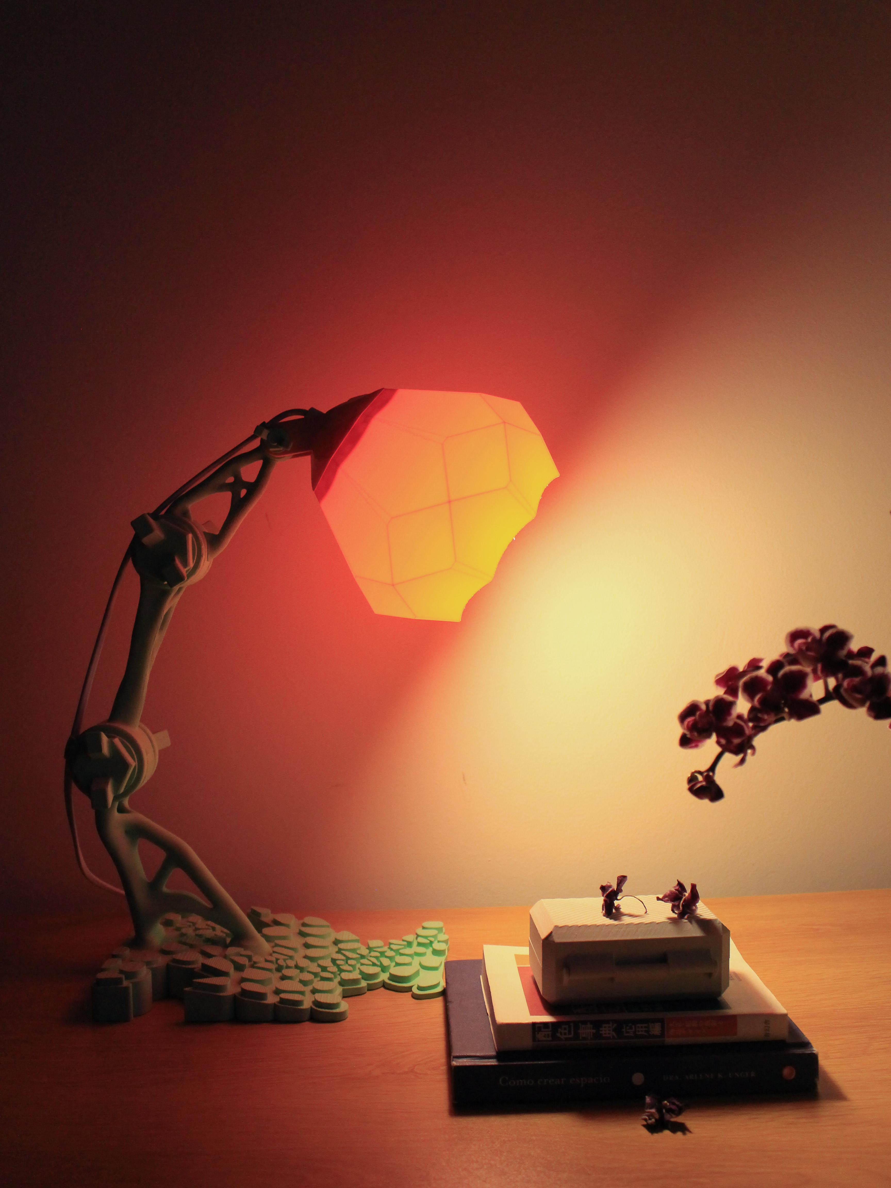 Voronoi Lamp 3d model