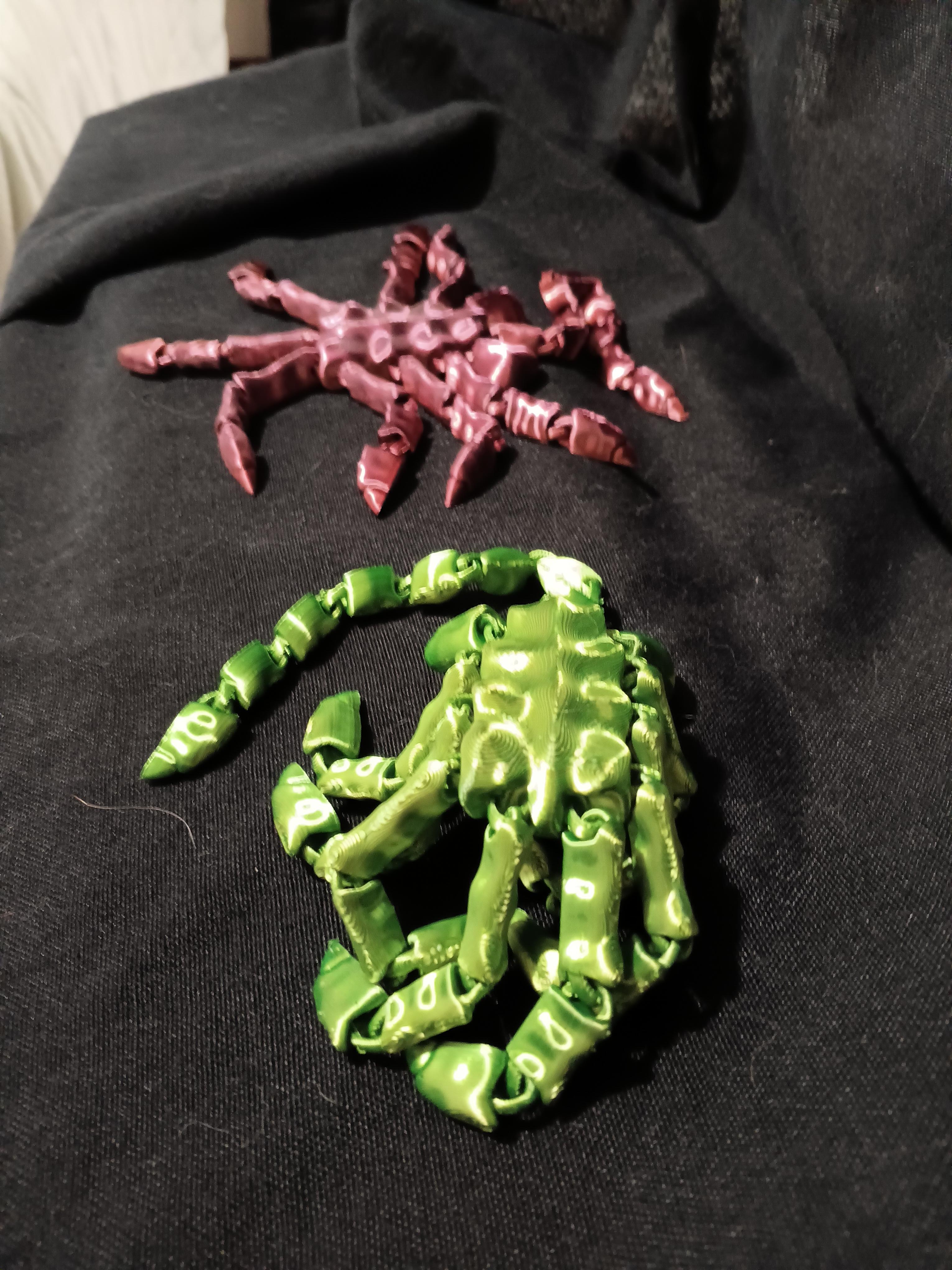 flexi facehugger - print in place - fidget toy 3d model