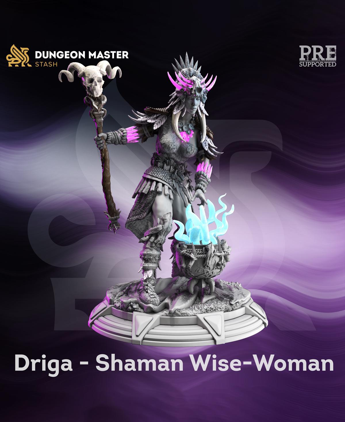 Driga - Shaman 3d model