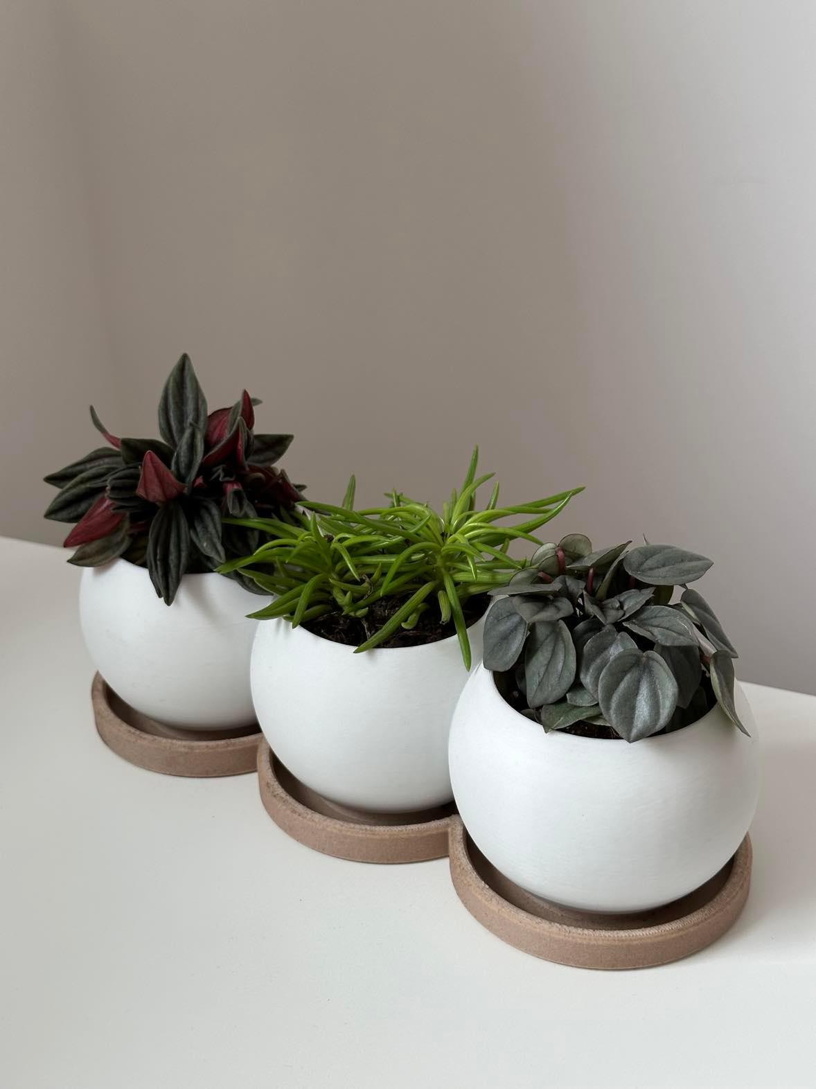 TRIO planter 3d model