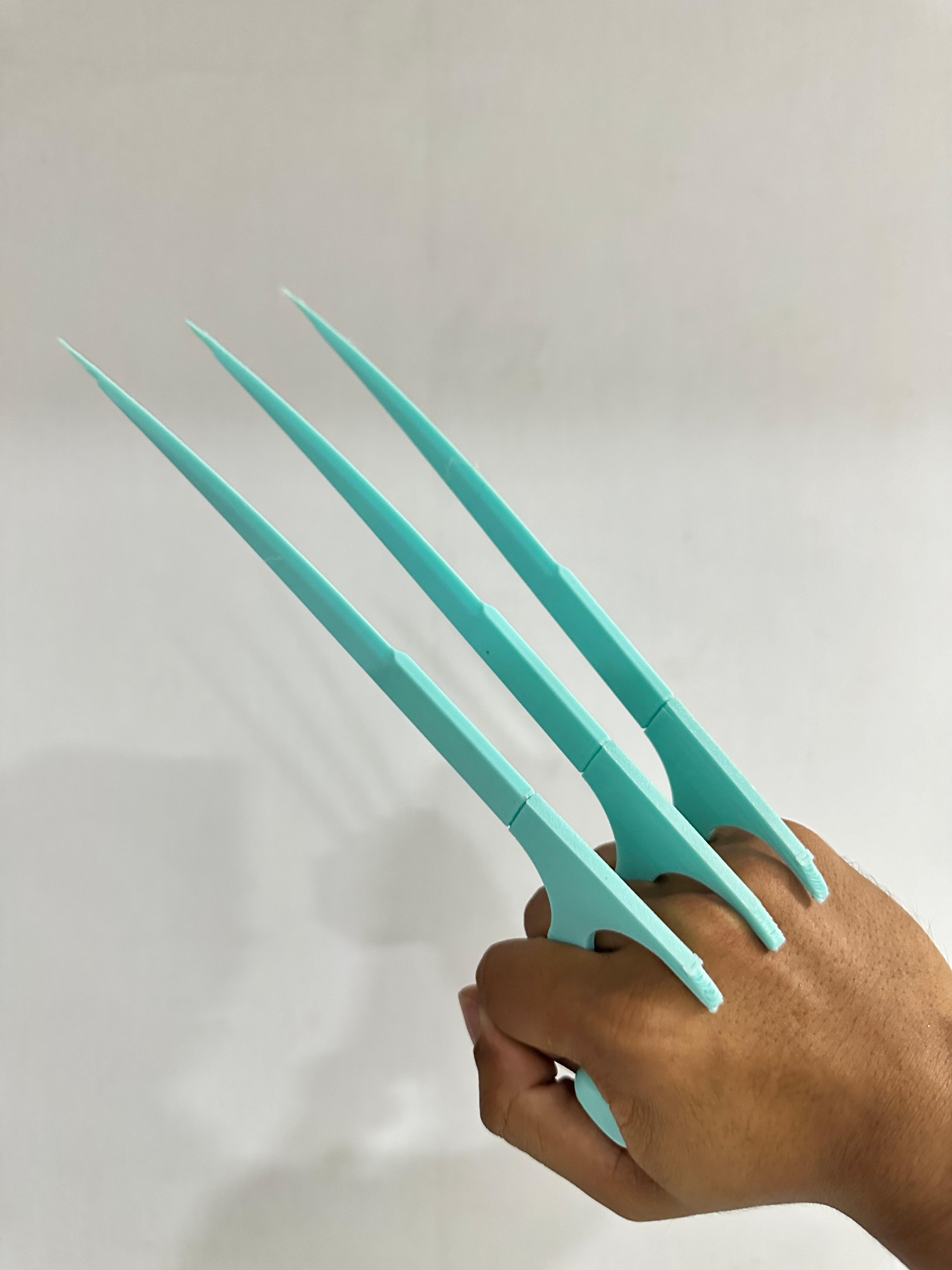The Wolverine's Claws (3D Printable) 3d model
