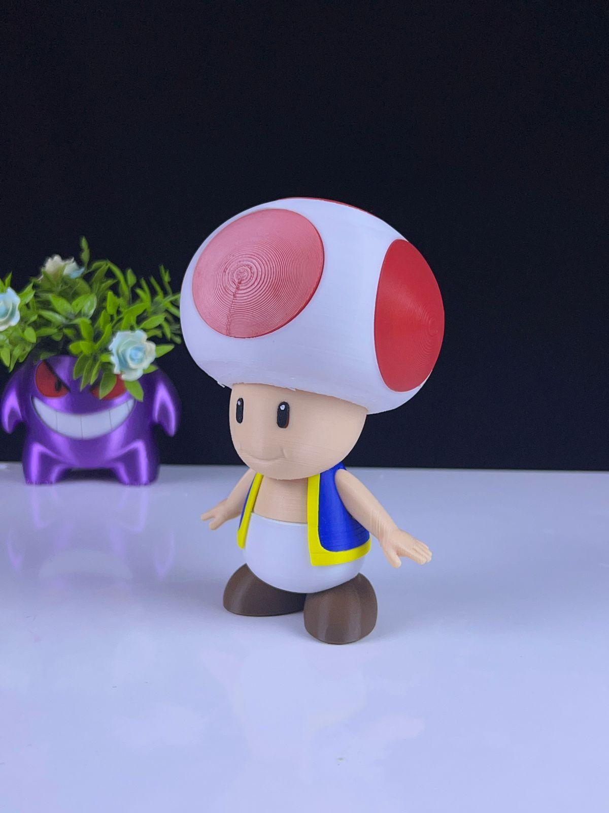 Toad - Multipart 3d model