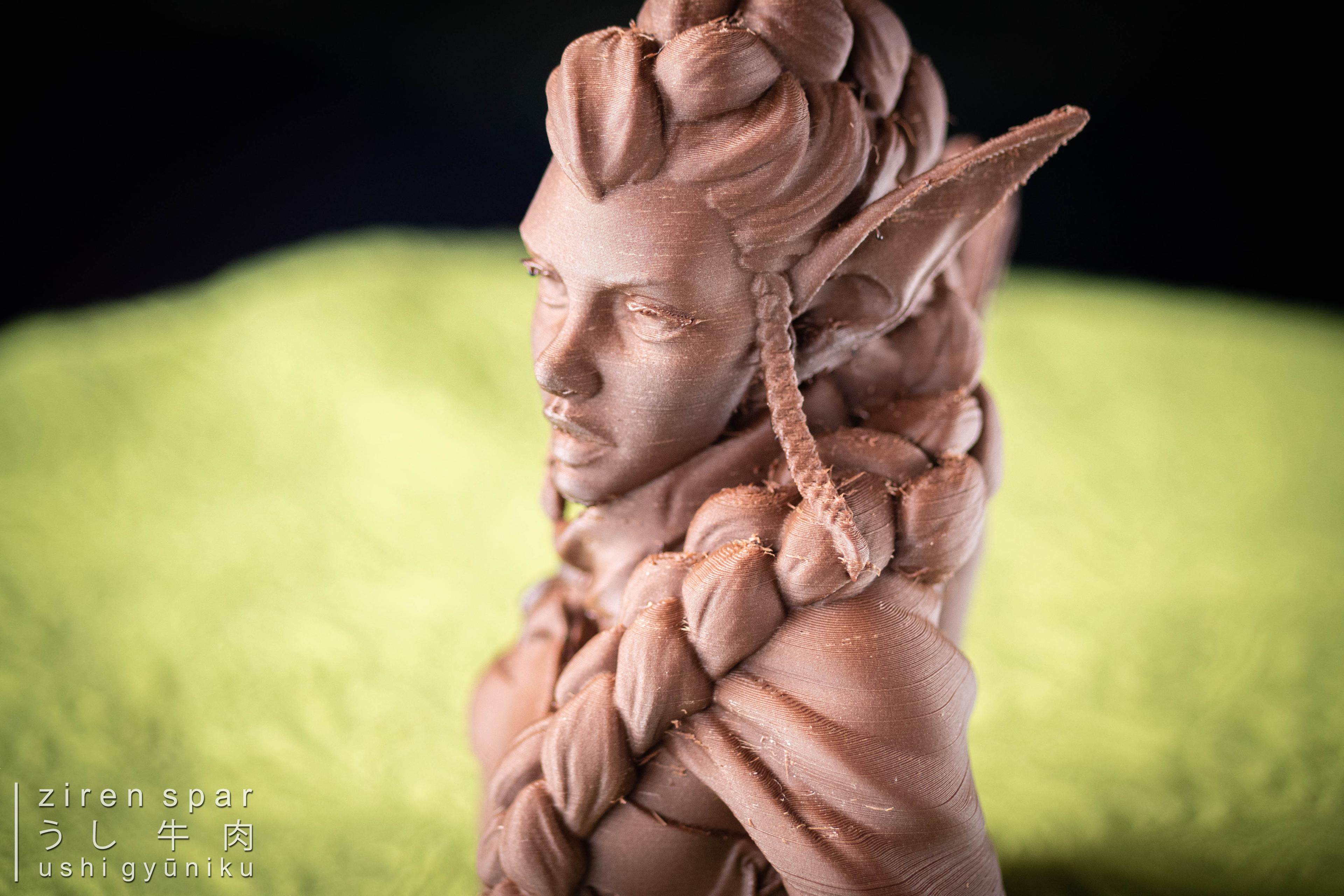 Elf Archer Bust Support Free - elf archer bust. the filament I used is two years since I opened which I simply dried and works fantastic except for the stringing as I didn't really try to find its sweet spot 😅
🧵 colorfabb corkfill
💾 iczfirz or kk11243234567891
🖨️ cetus3d w/ capricorn tube & diamondback nozzle
📐 ~295% scale, 180mm tall
📸 gears: niichan
🧩 assist: touchan & kāchan
#filamentfebruary - 3d model