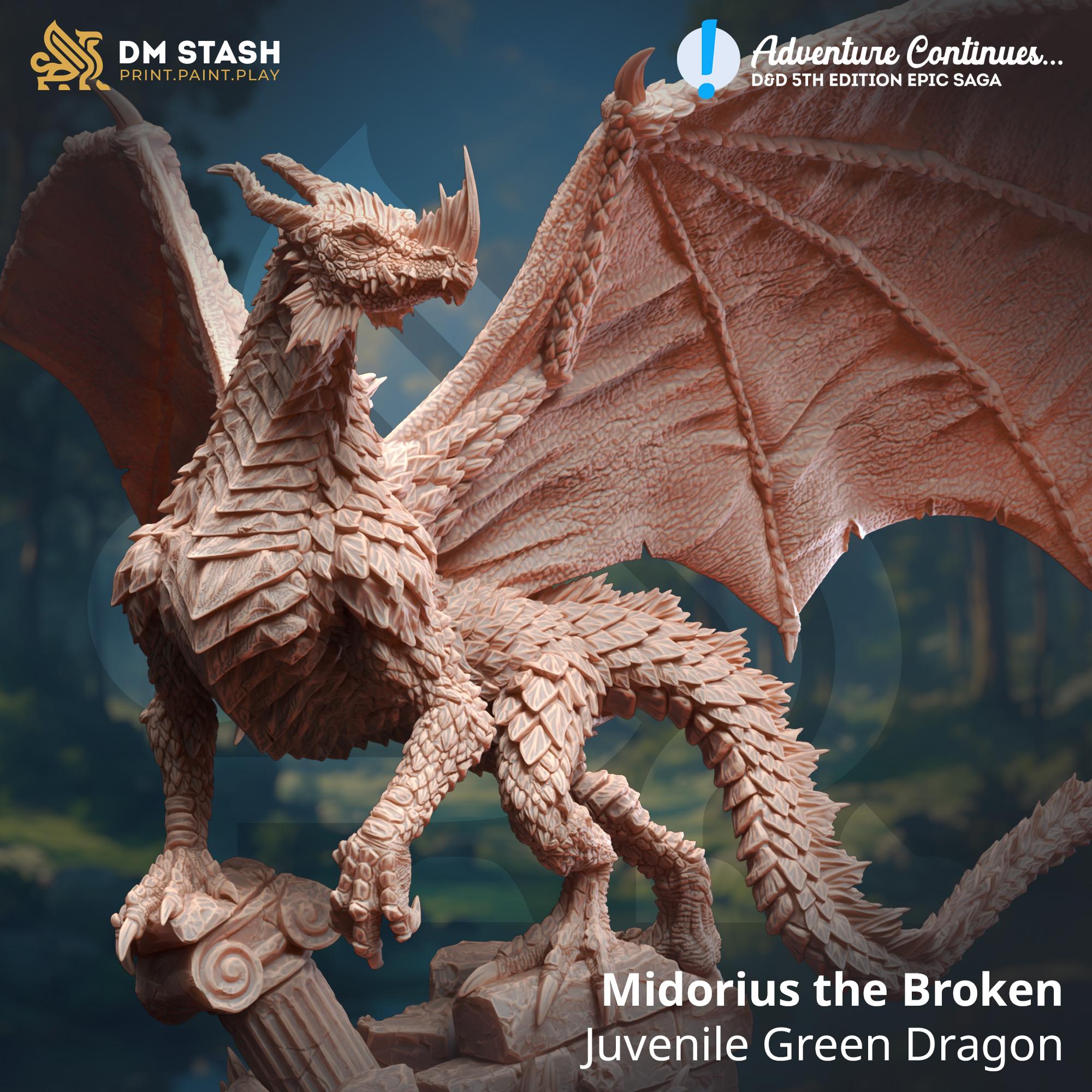 Juvenile Green Dragon - Midorius the Broken 3d model