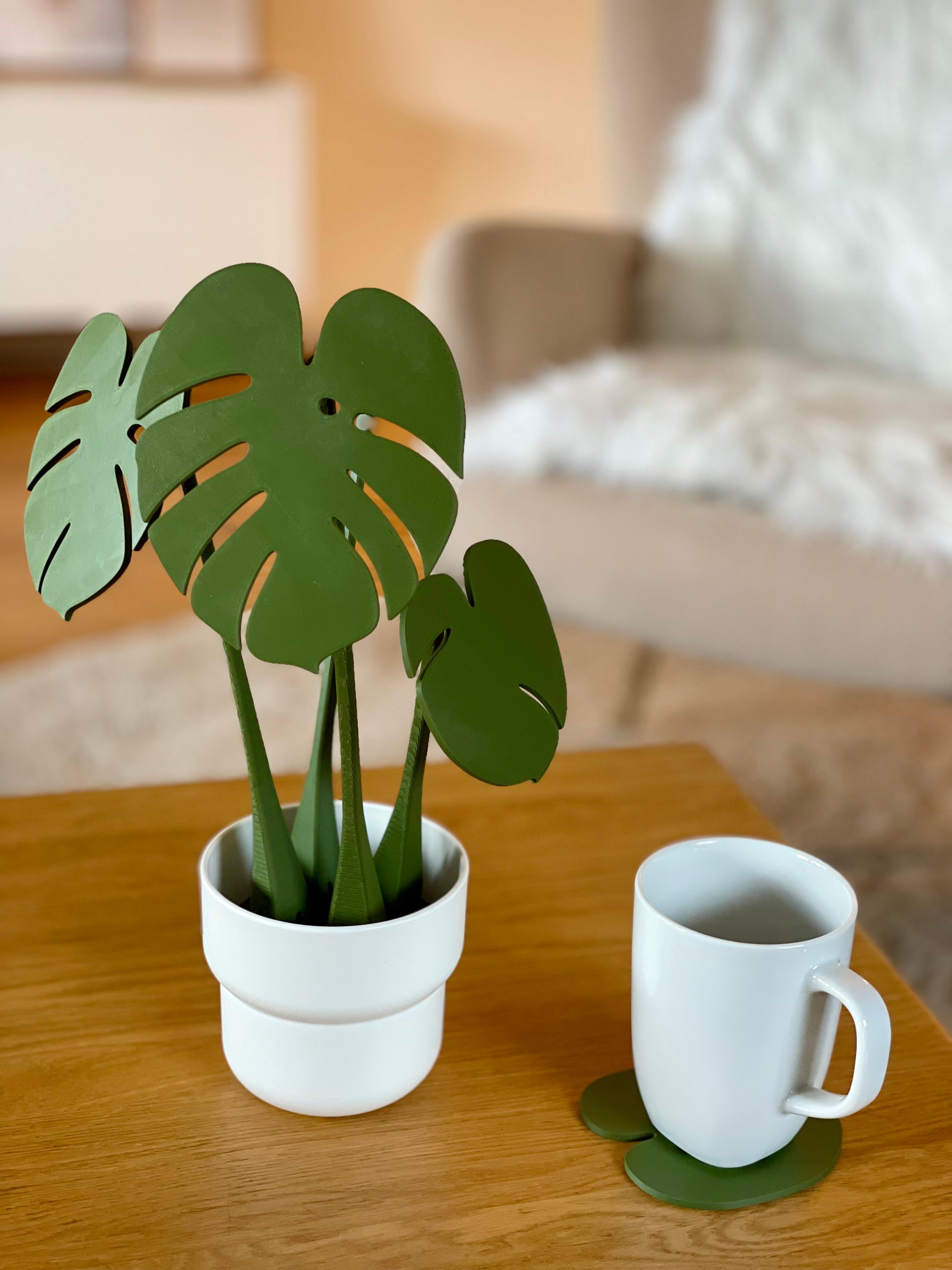 Monstera Coaster Set 3d model