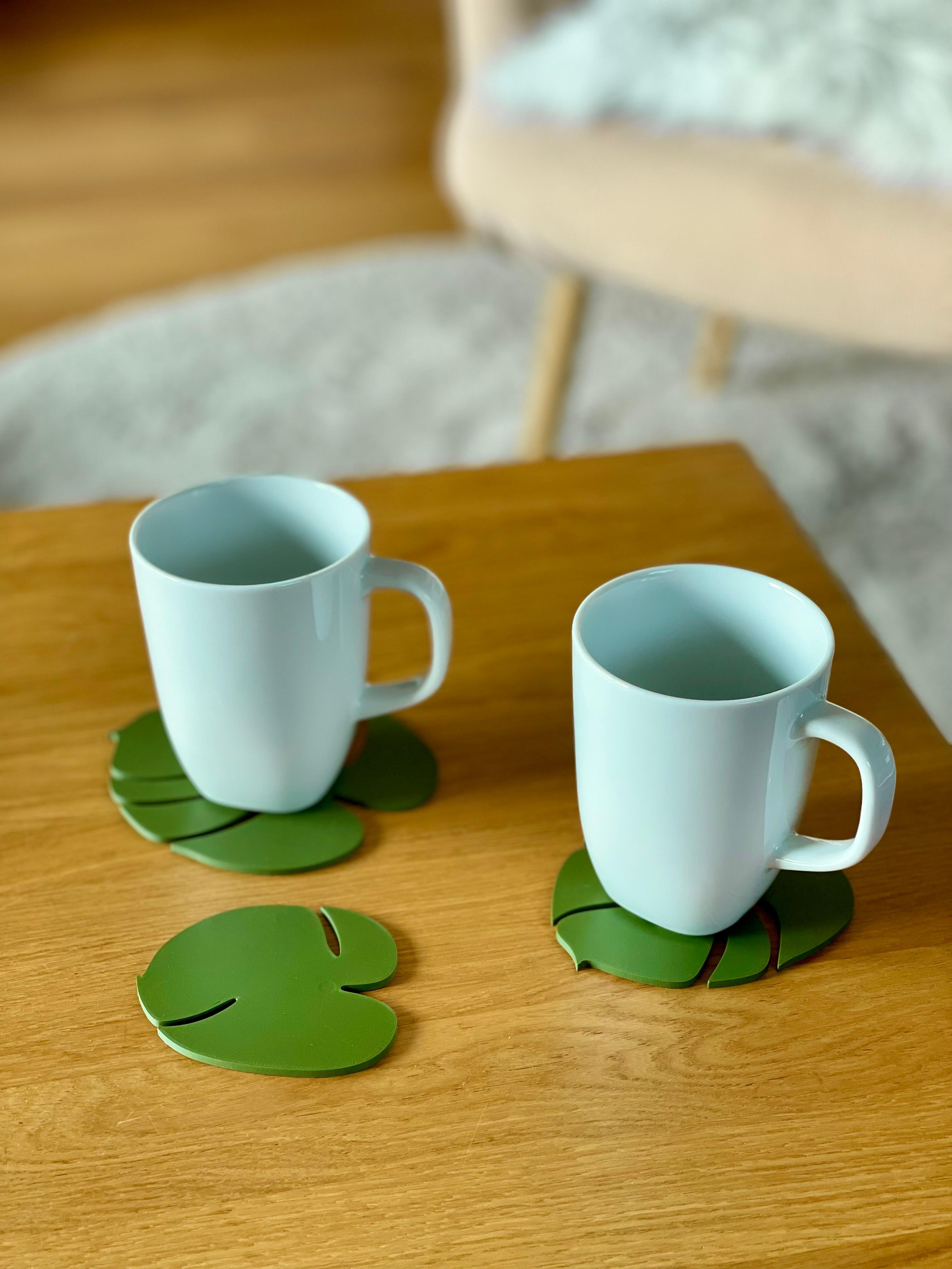 Monstera Coaster Set 3d model