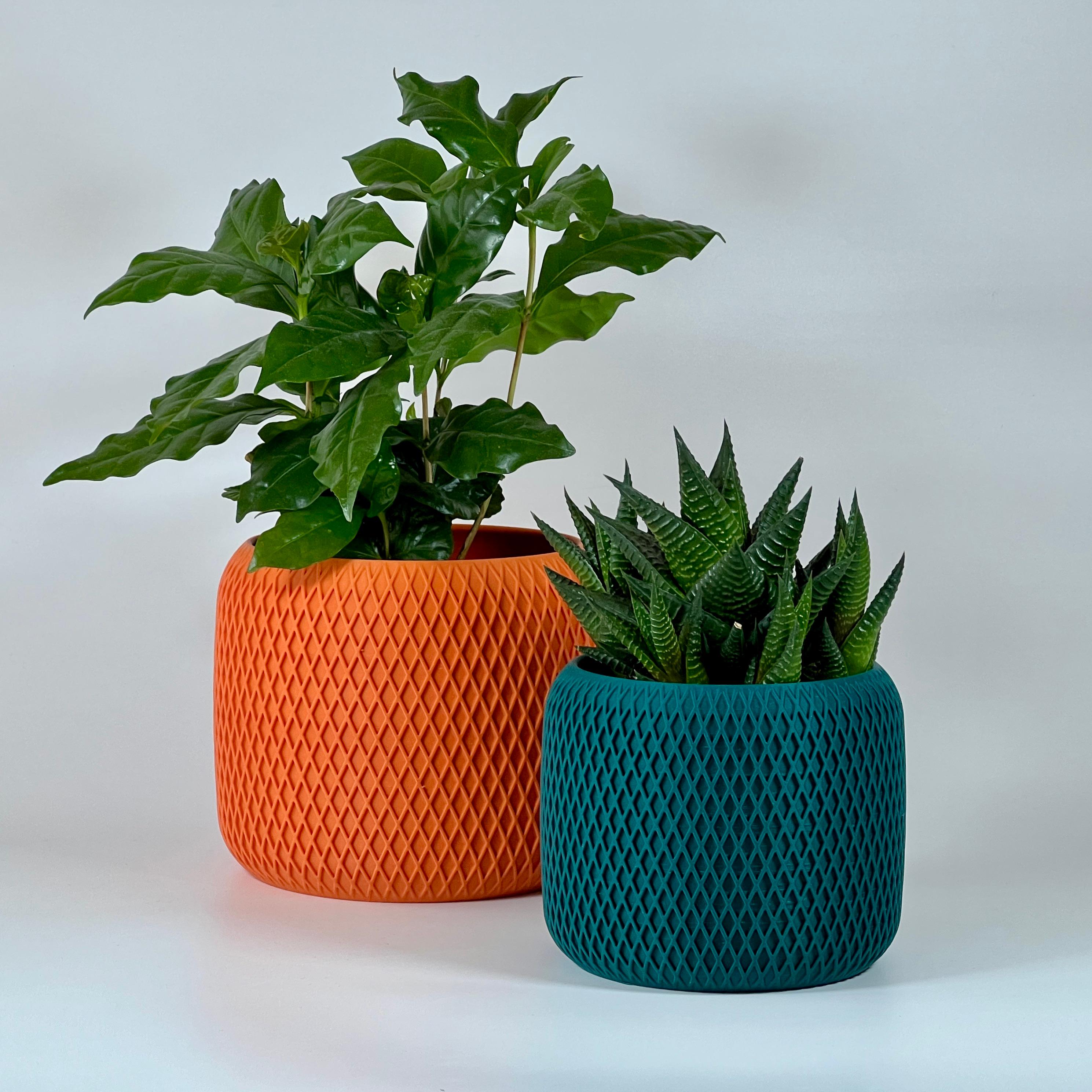 Set of 2 Flower Plats Planter Pot 3d model