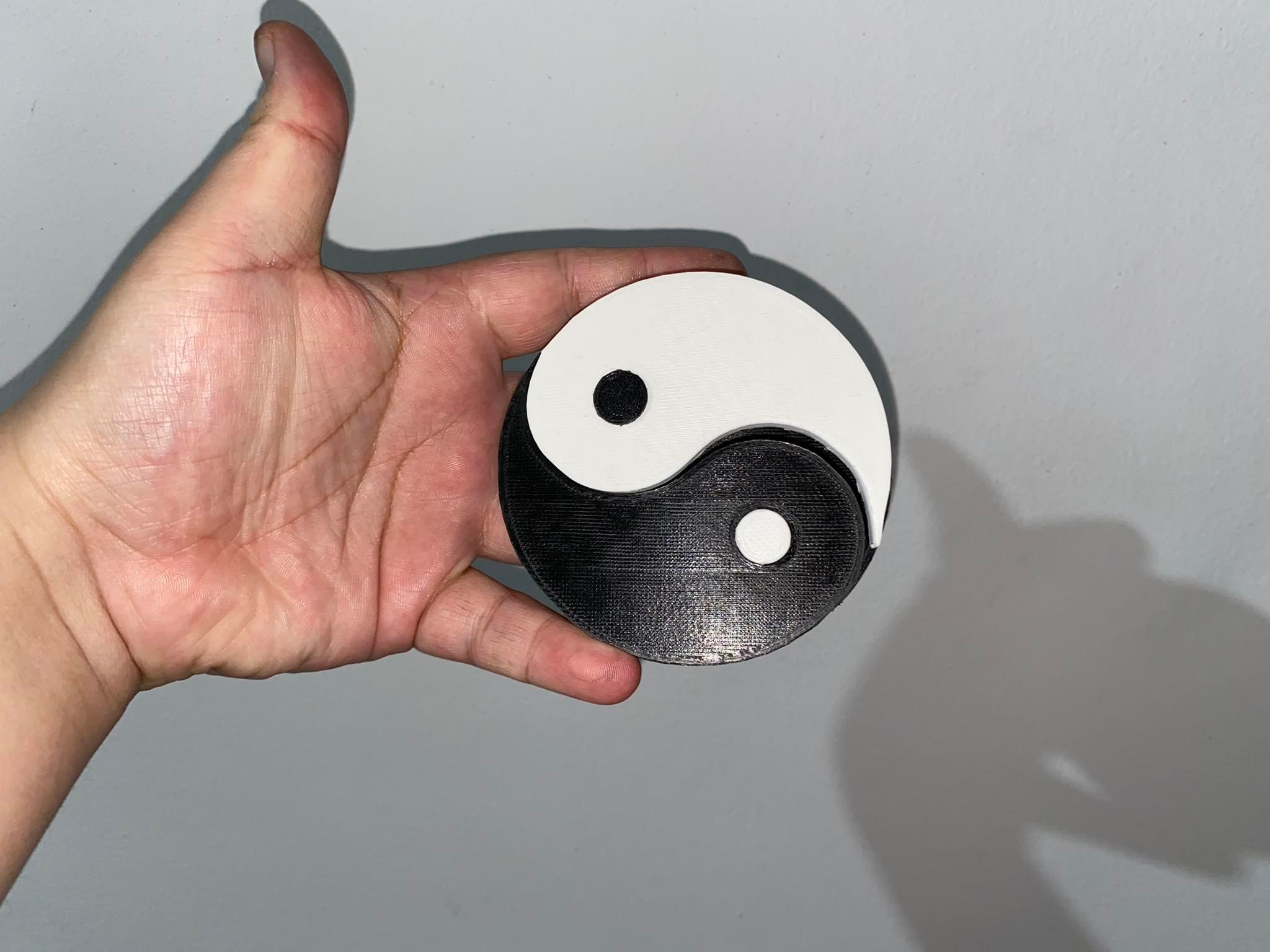 Yin and Yang Box 3d model