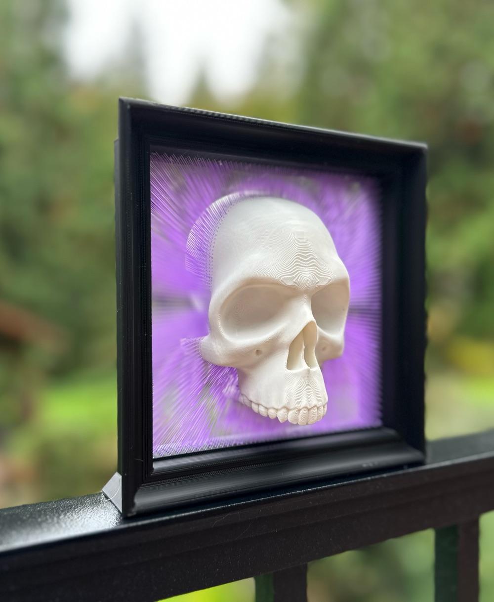 Framed Skull Tensegrity Skull Box - V2 with wall hanging, and frame 3d model